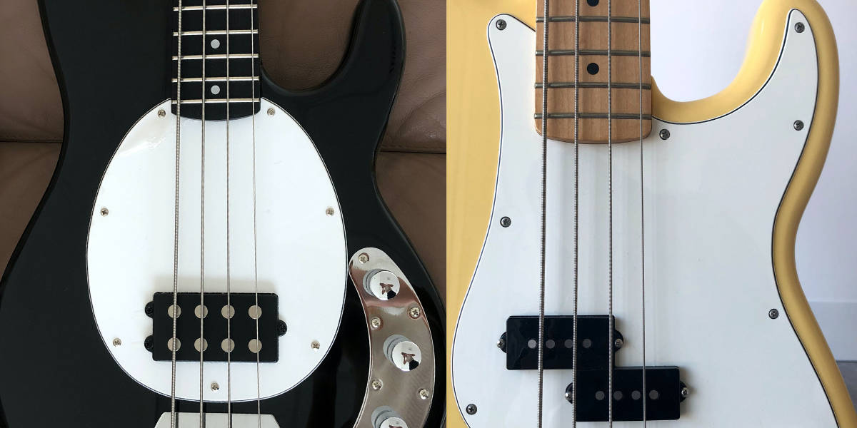 StingRay Vs Precision Bass Guitar: Bass Nào Phù Hợp Với Bạn?