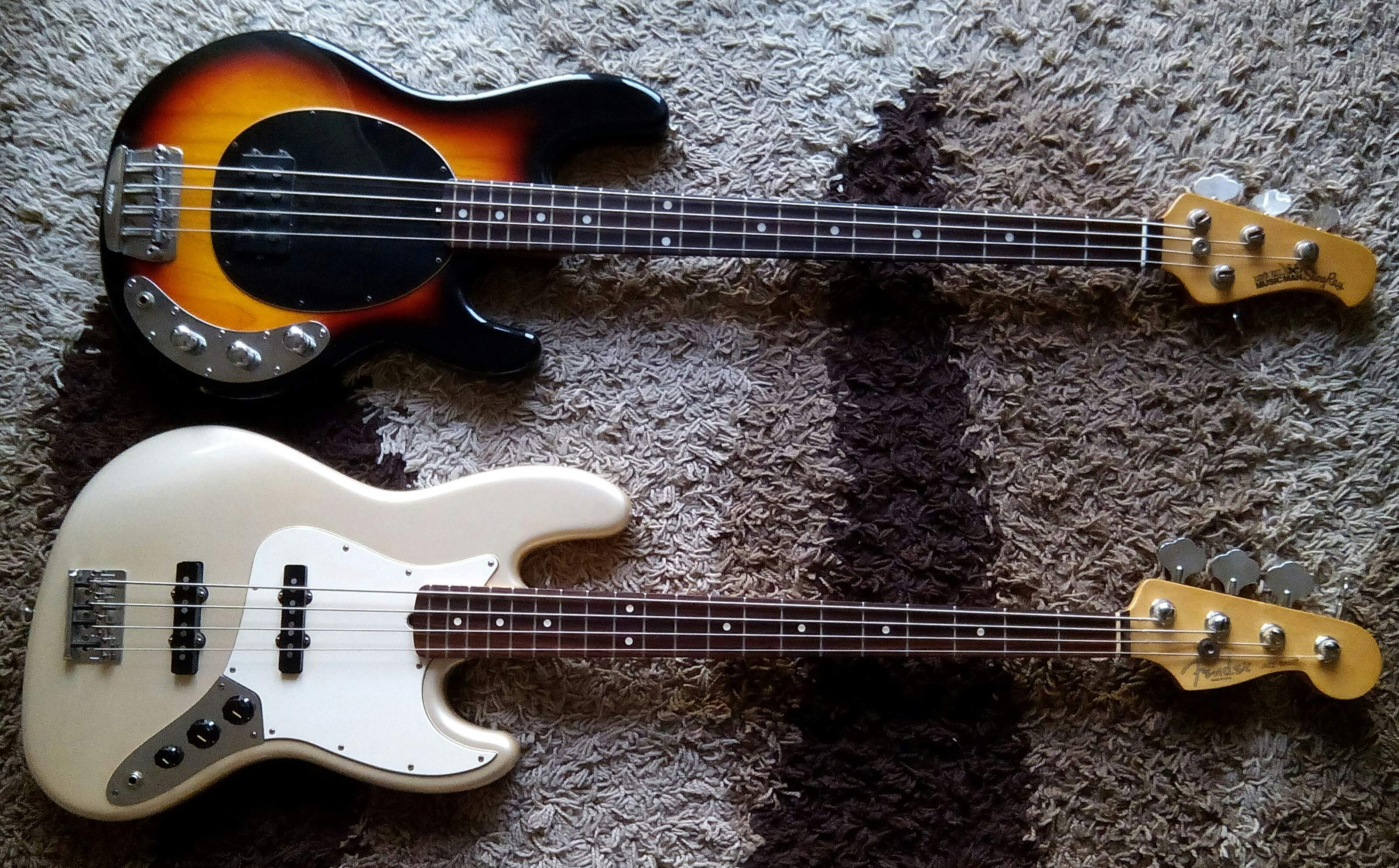 Phân Tích Chi Tiết Jazz Và StingRay Bass Guitar