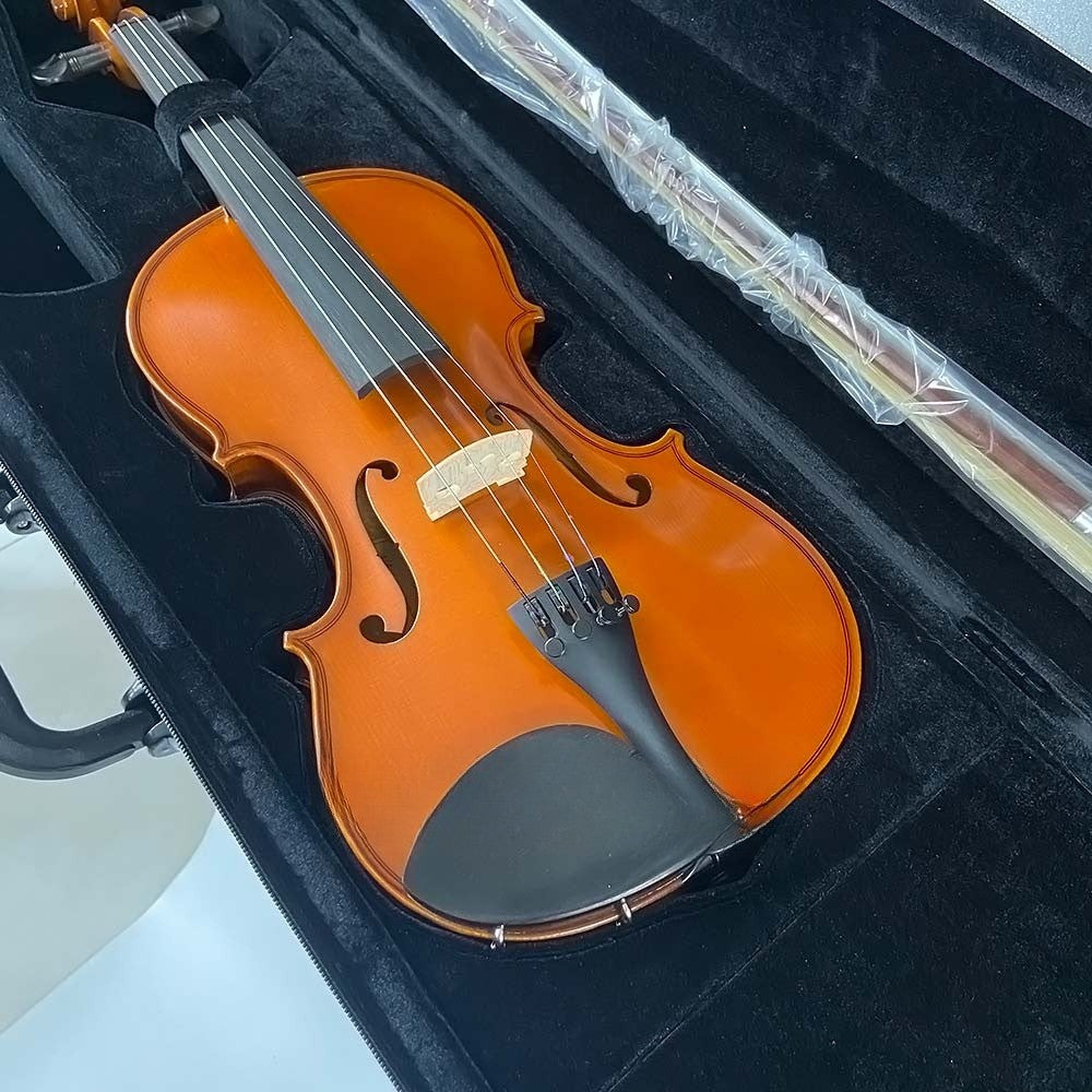 Đàn Violin Scott & Guan 601