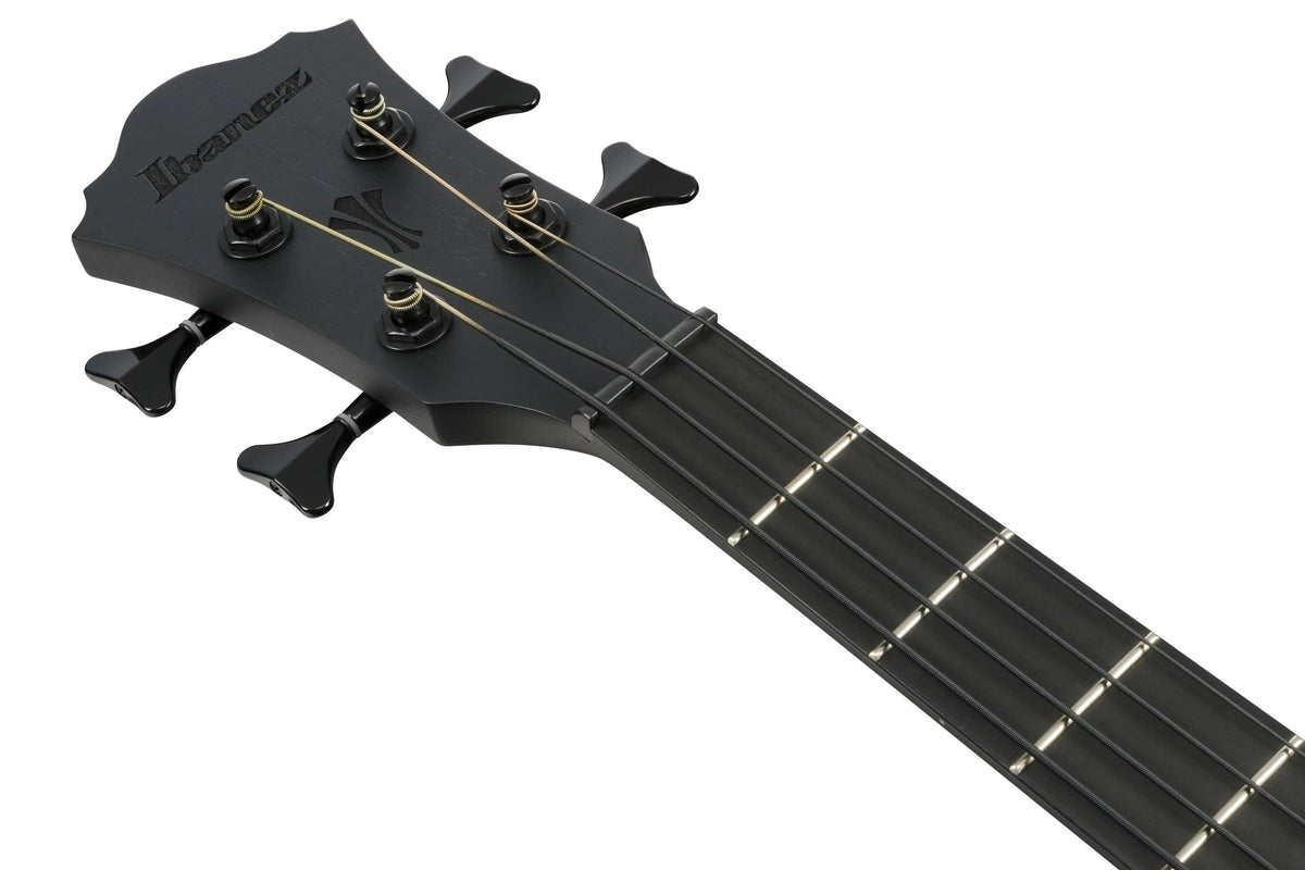 Đàn Guitar Acoustic Bass Ibanez AEGB420 - Black Out