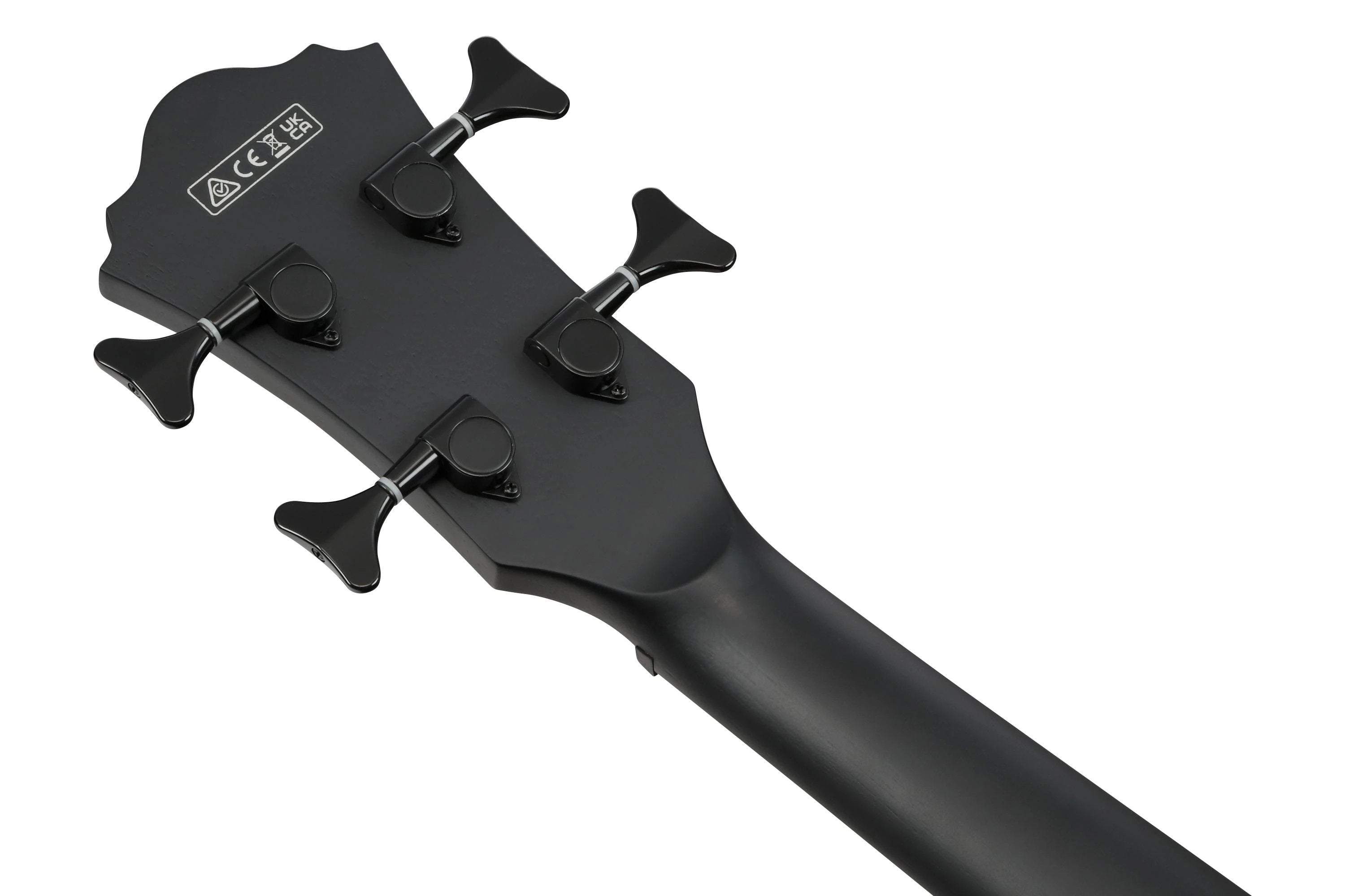 Đàn Guitar Acoustic Bass Ibanez AEGB420 - Black Out