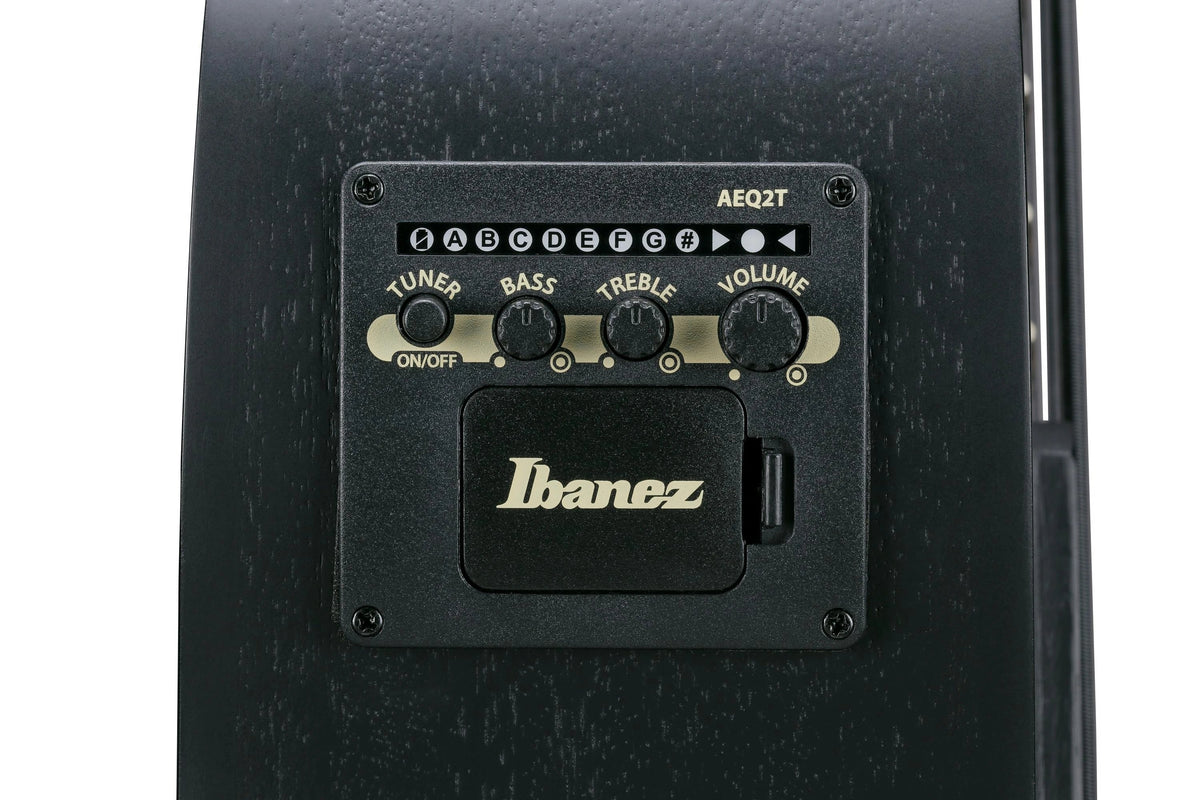 Đàn Guitar Acoustic Bass Ibanez AEGB420 - Black Out