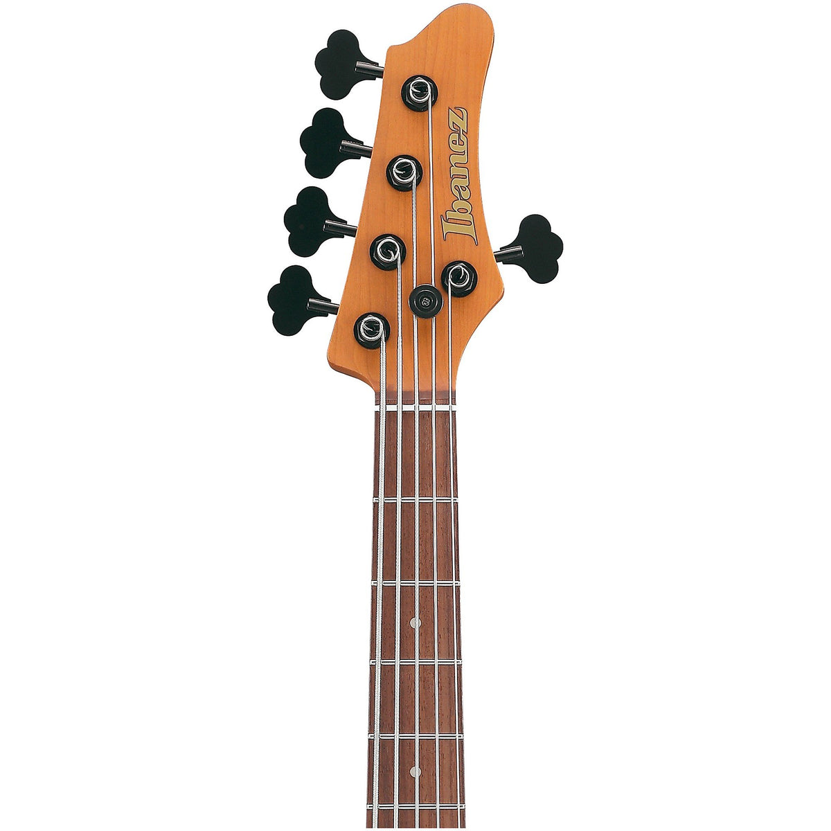 Đàn Guitar Bass 5-dây Ibanez MDM1005 Mode
