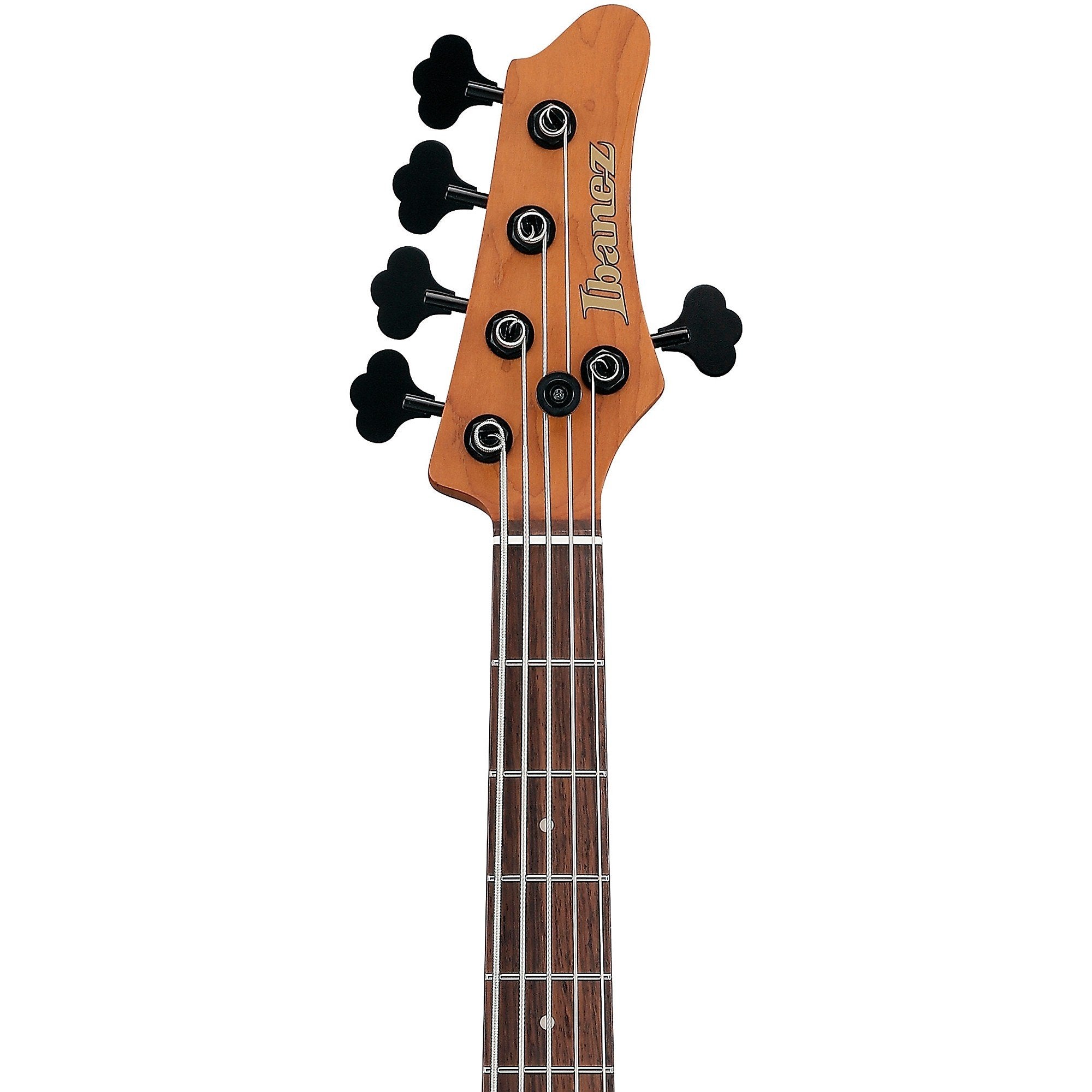 Đàn Guitar Bass 5-dây Ibanez MDM1005 Mode