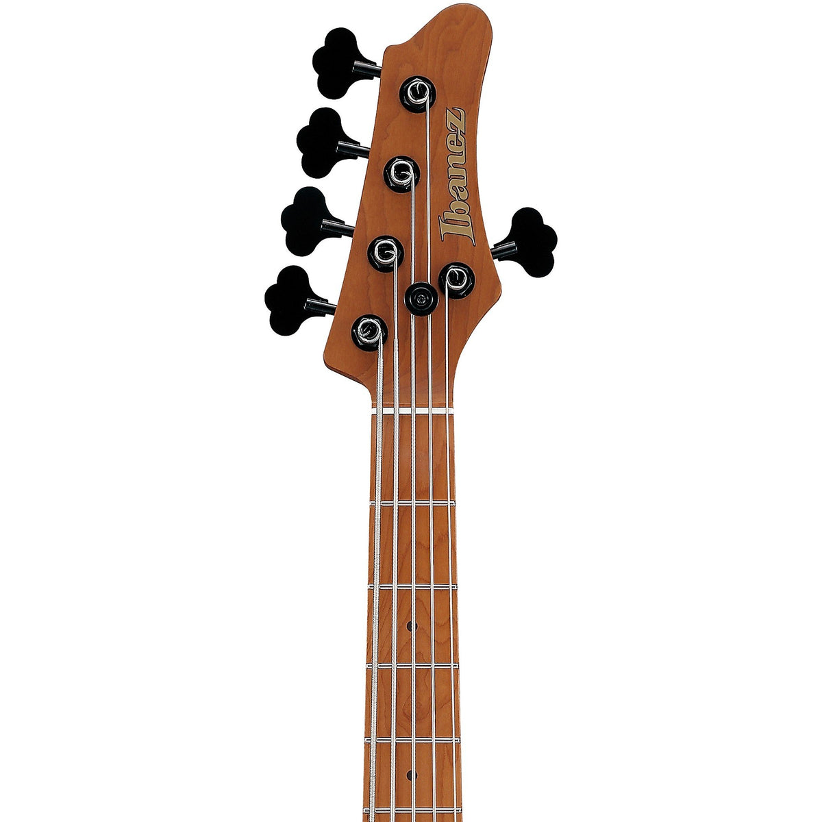 Đàn Guitar Bass 5-dây Ibanez MDM1305 Mode - Natural Stained Amber Burst