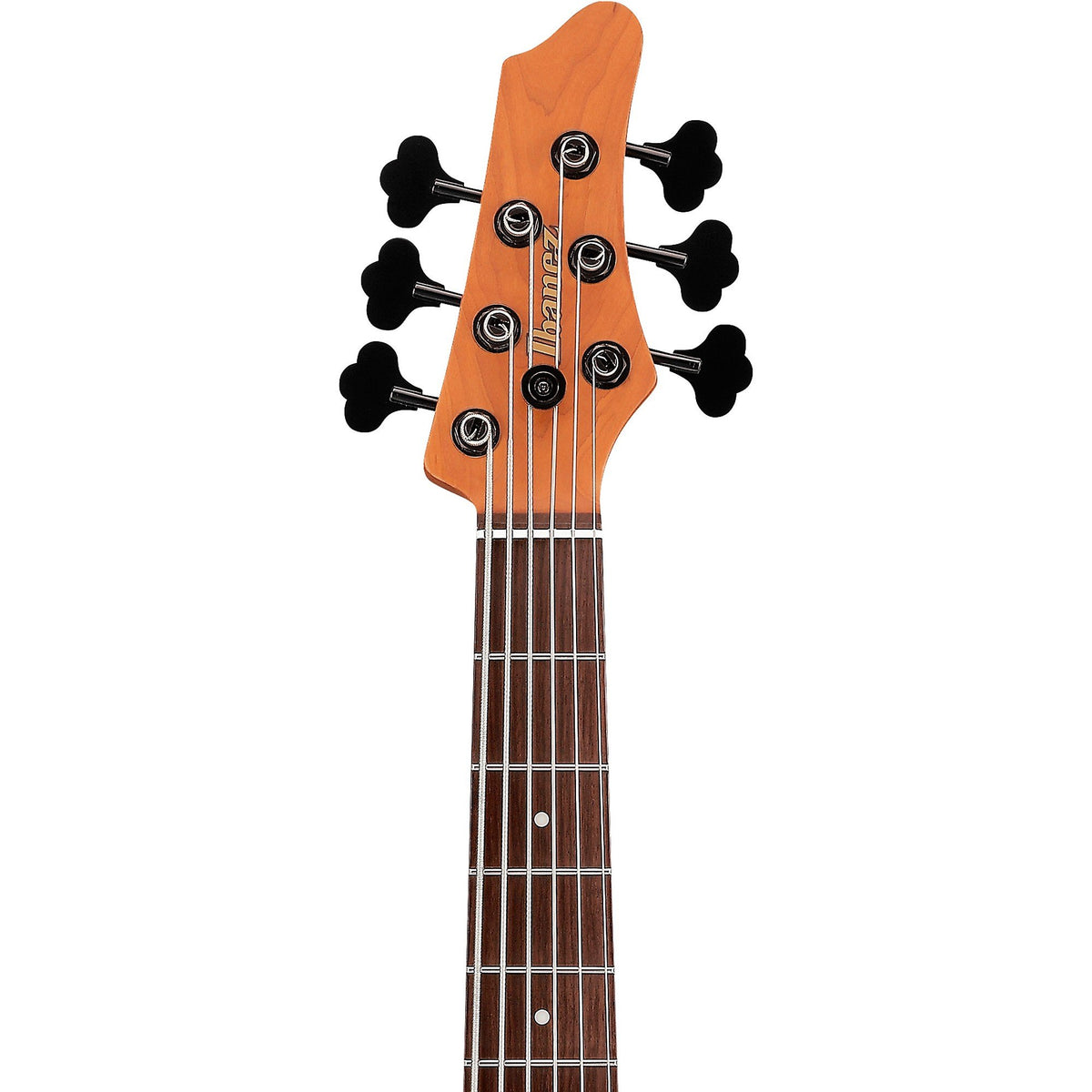 Đàn Guitar Bass 6-dây Ibanez MDM1606 Mode - Natural Mocha Low Gloss