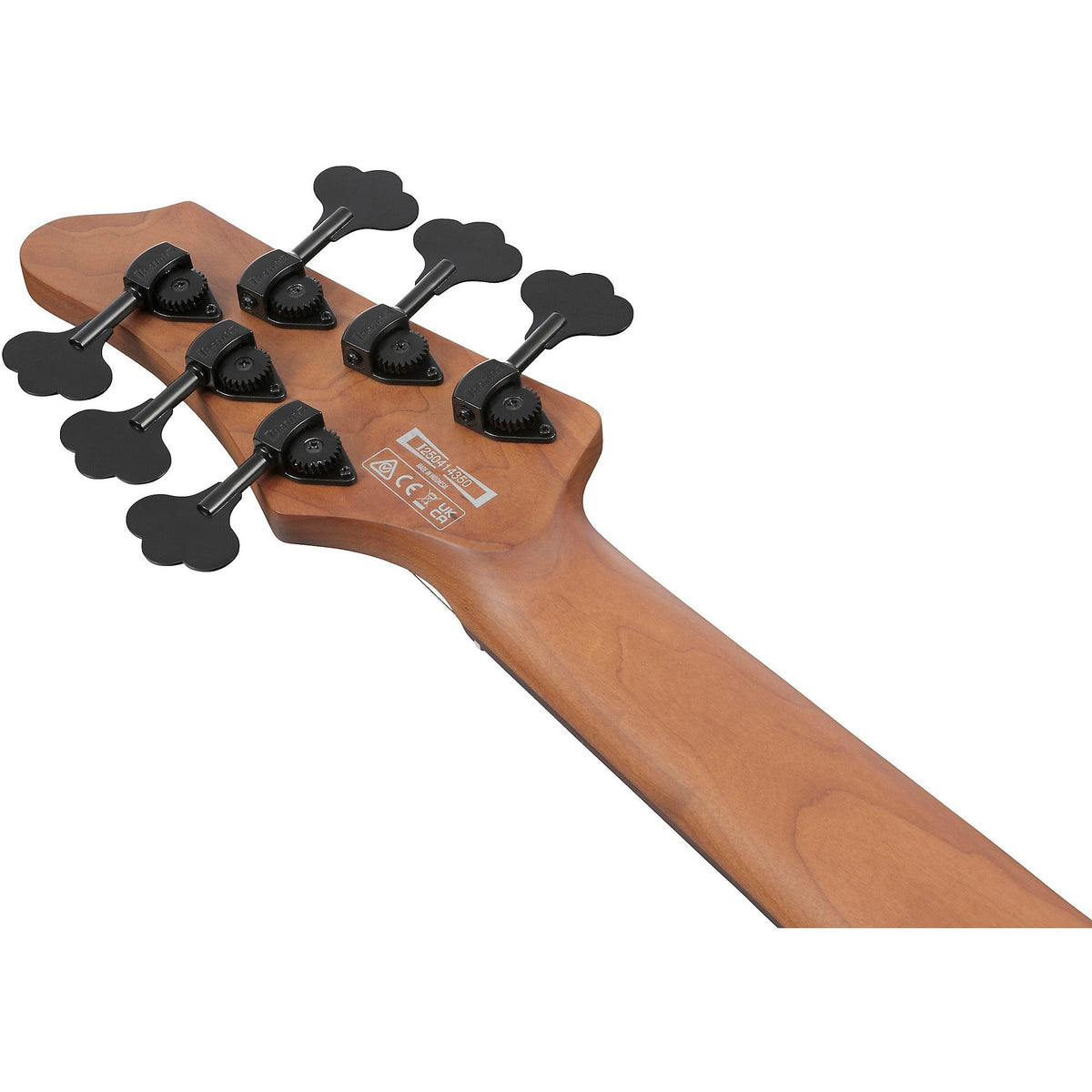 Đàn Guitar Bass 6-dây Ibanez MDM1606 Mode - Natural Mocha Low Gloss