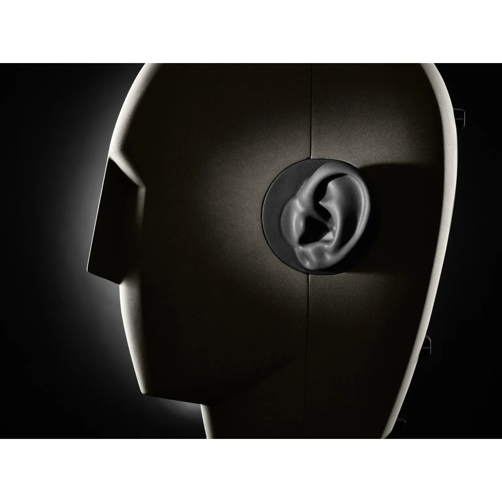 Micro Thu Âm Neumann KU 100 Dummy Head