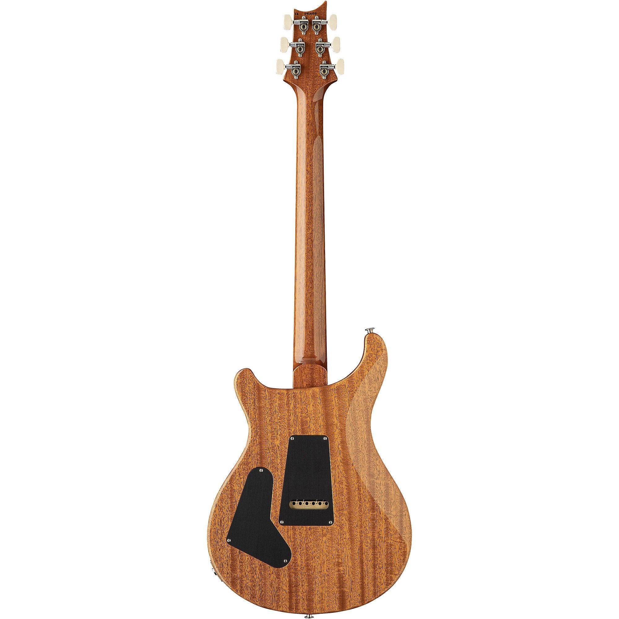 Đàn Guitar Điện PRS Custom 24 "Birds of a Feather" Limited-Edition-Mai Nguyên Music