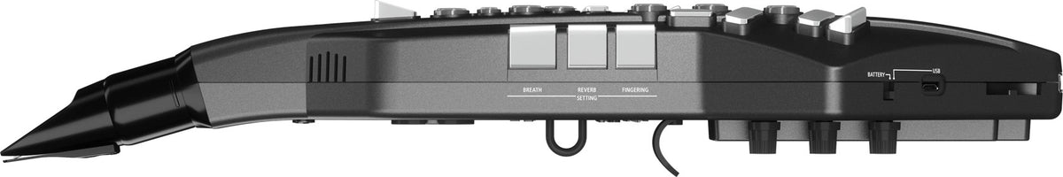 Kèn Điện Tử Roland Aerophone GO AE-05