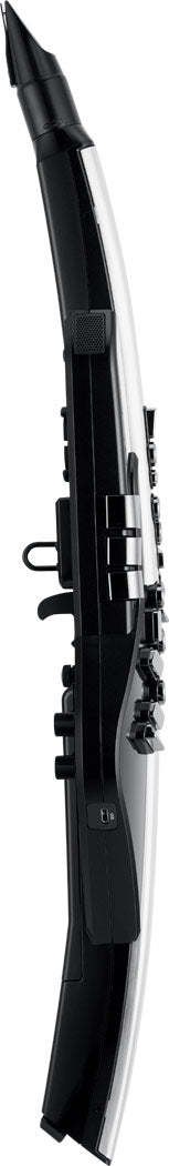 Kèn Điện Tử Roland Aerophone Pro AE-30