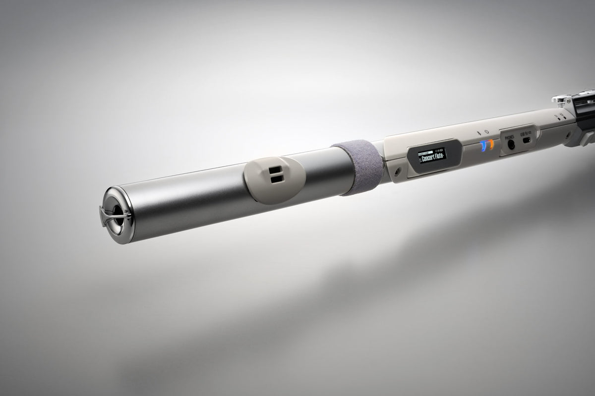 Kèn Điện Tử Roland Aerophone Brisa-Mai Nguyên Music