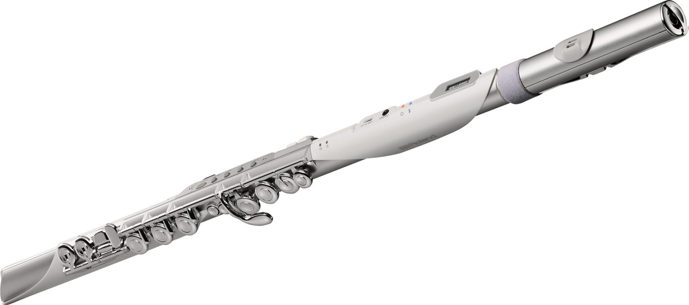 Kèn Điện Tử Roland Aerophone Brisa-Mai Nguyên Music