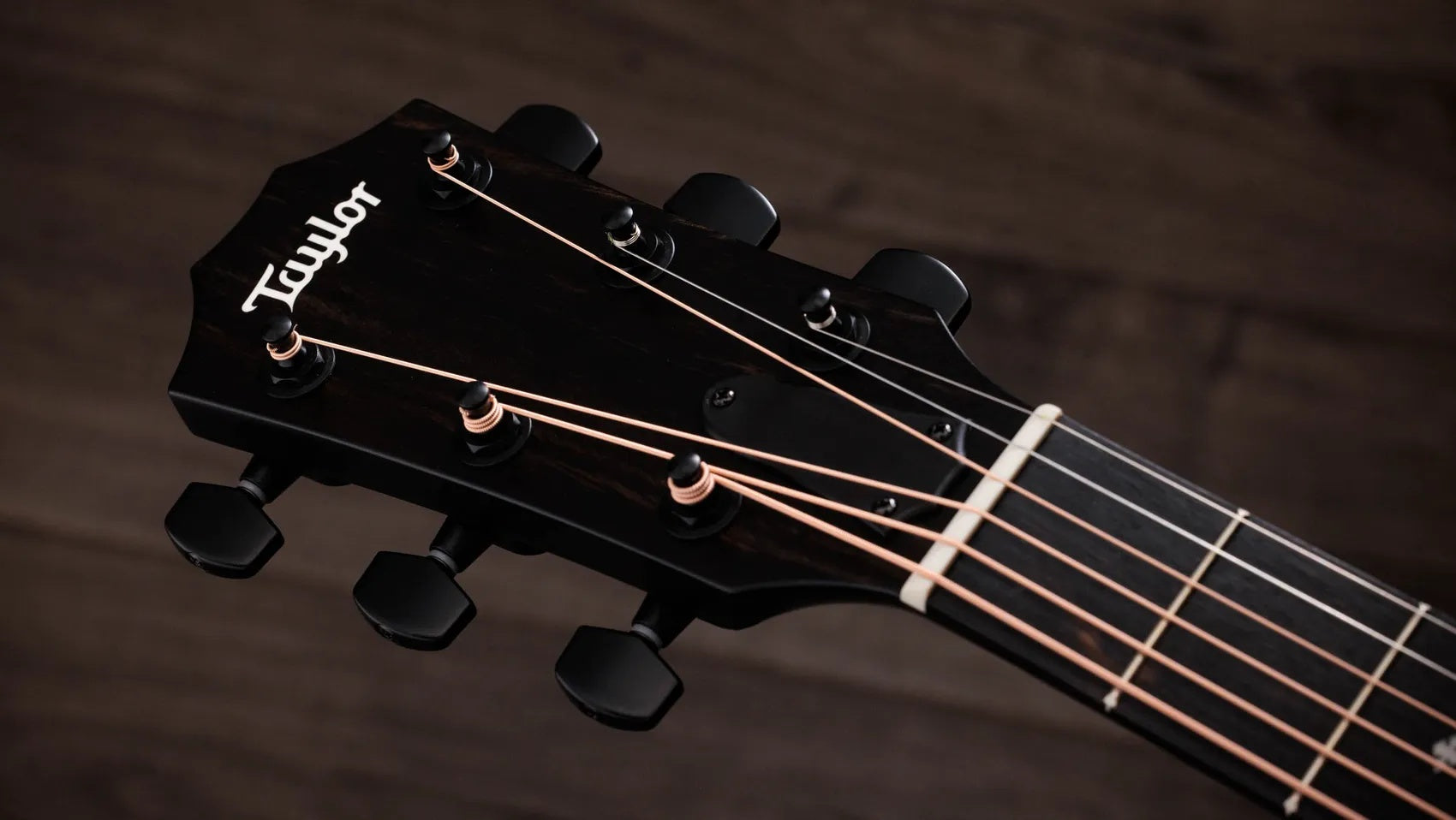 Đàn Guitar Acoustic Taylor 214ce Plus Special Edition-Mai Nguyên Music