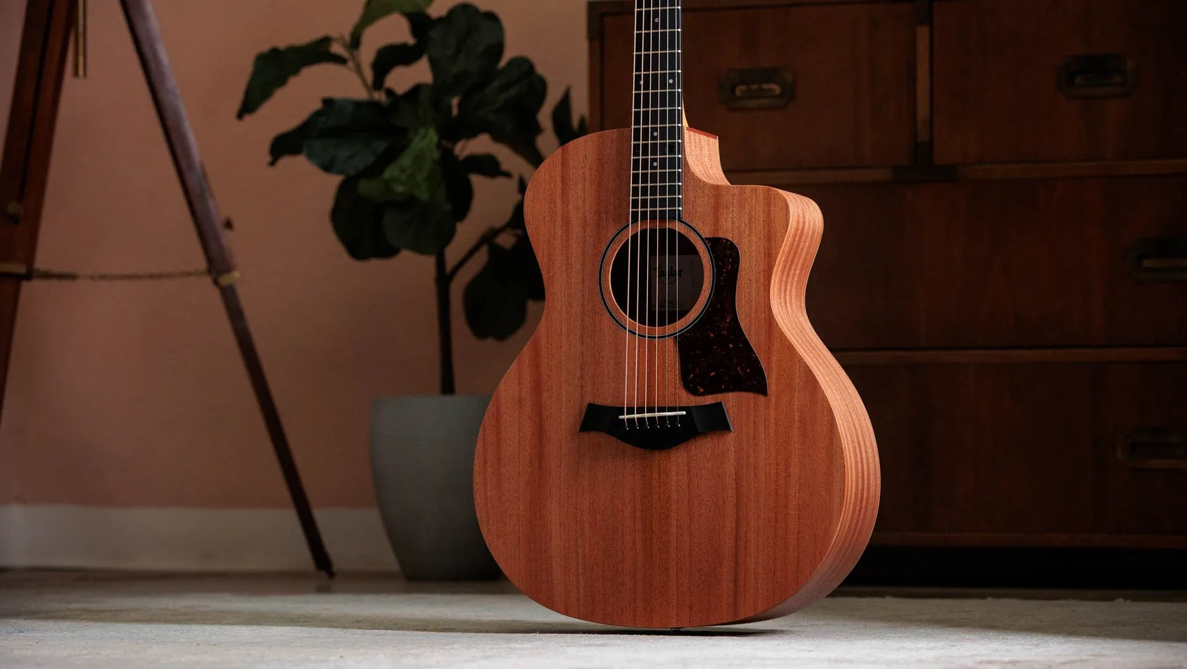 Đàn Guitar Acoustic Taylor 24ce - Natural