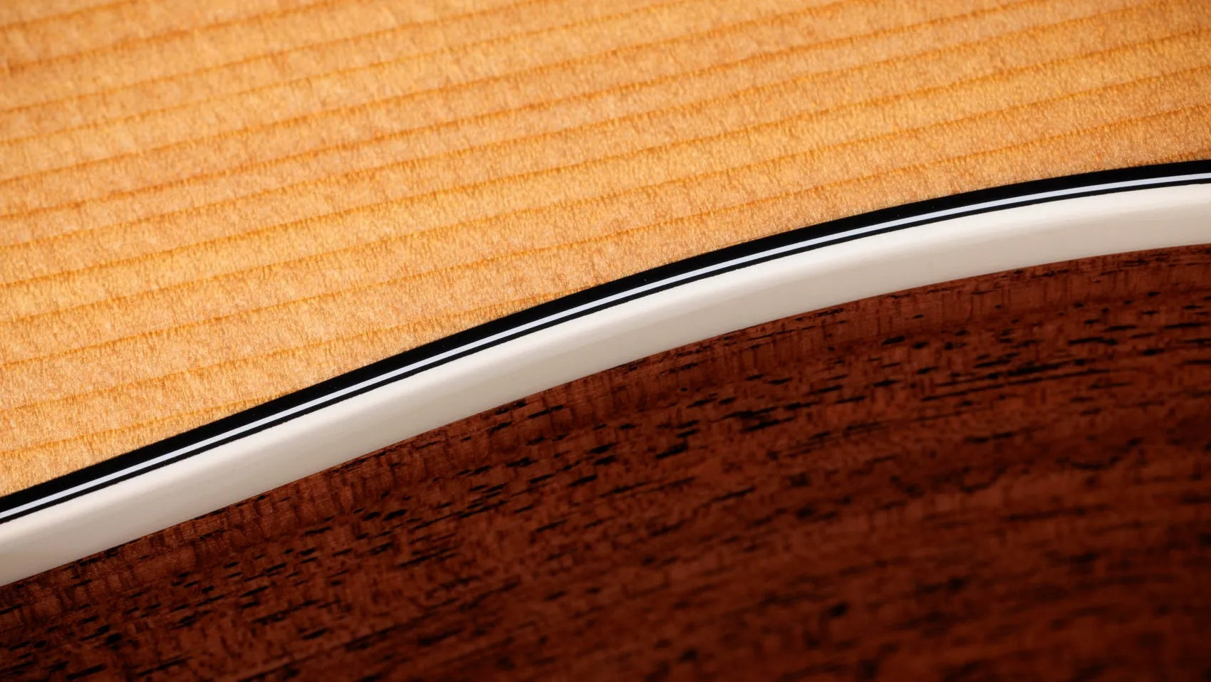 Đàn Guitar Acoustic Taylor Gold Label 510e - Natural
