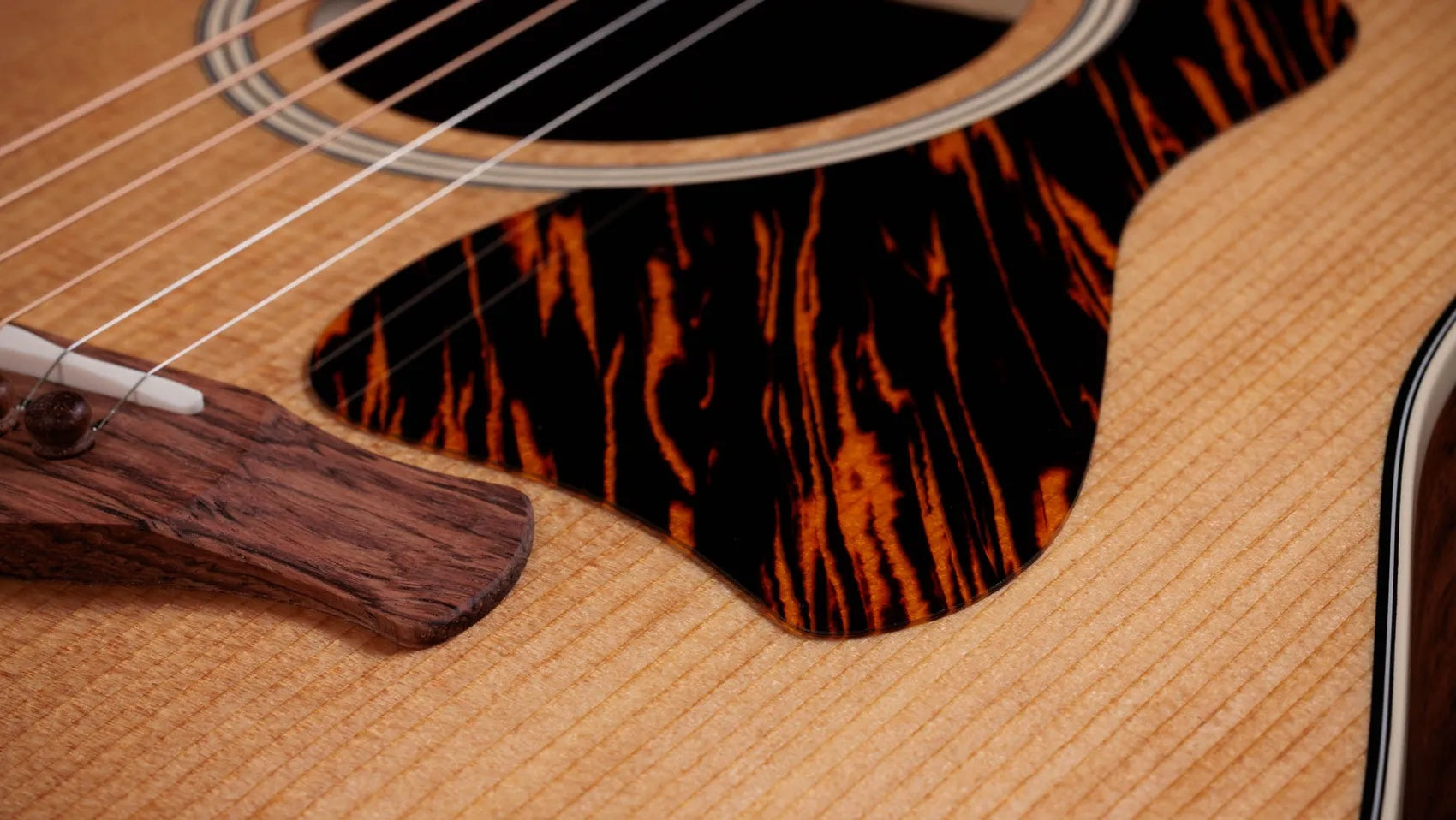 Đàn Guitar Acoustic Taylor Gold Label 510e - Natural