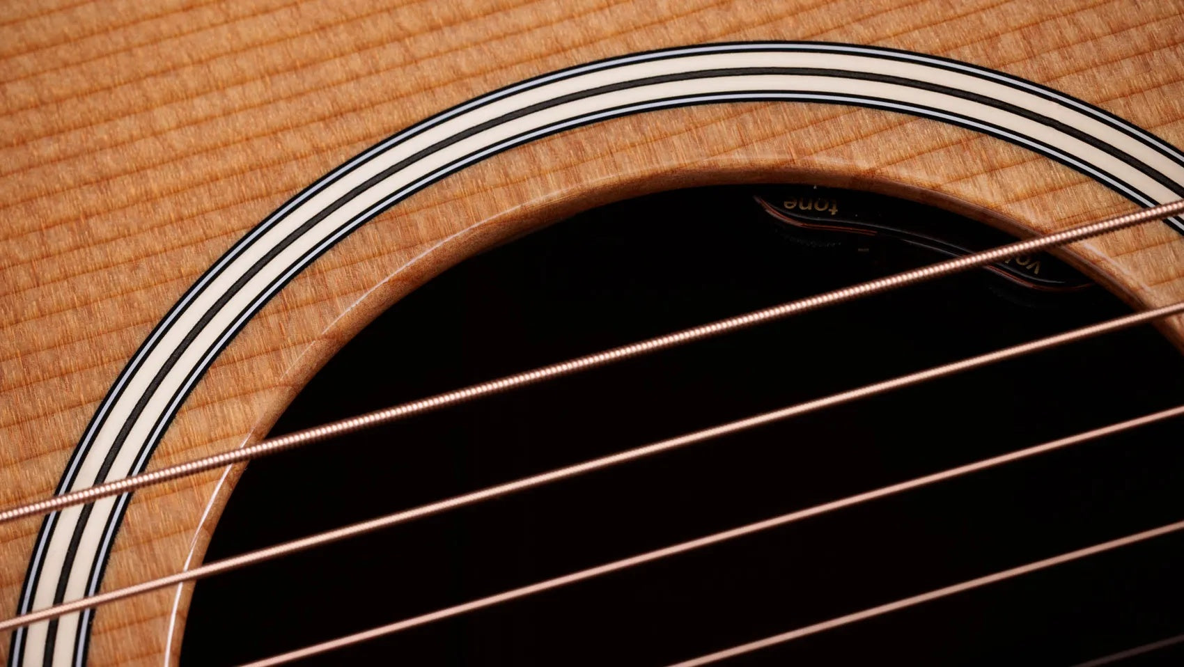 Đàn Guitar Acoustic Taylor Gold Label 510e - Natural