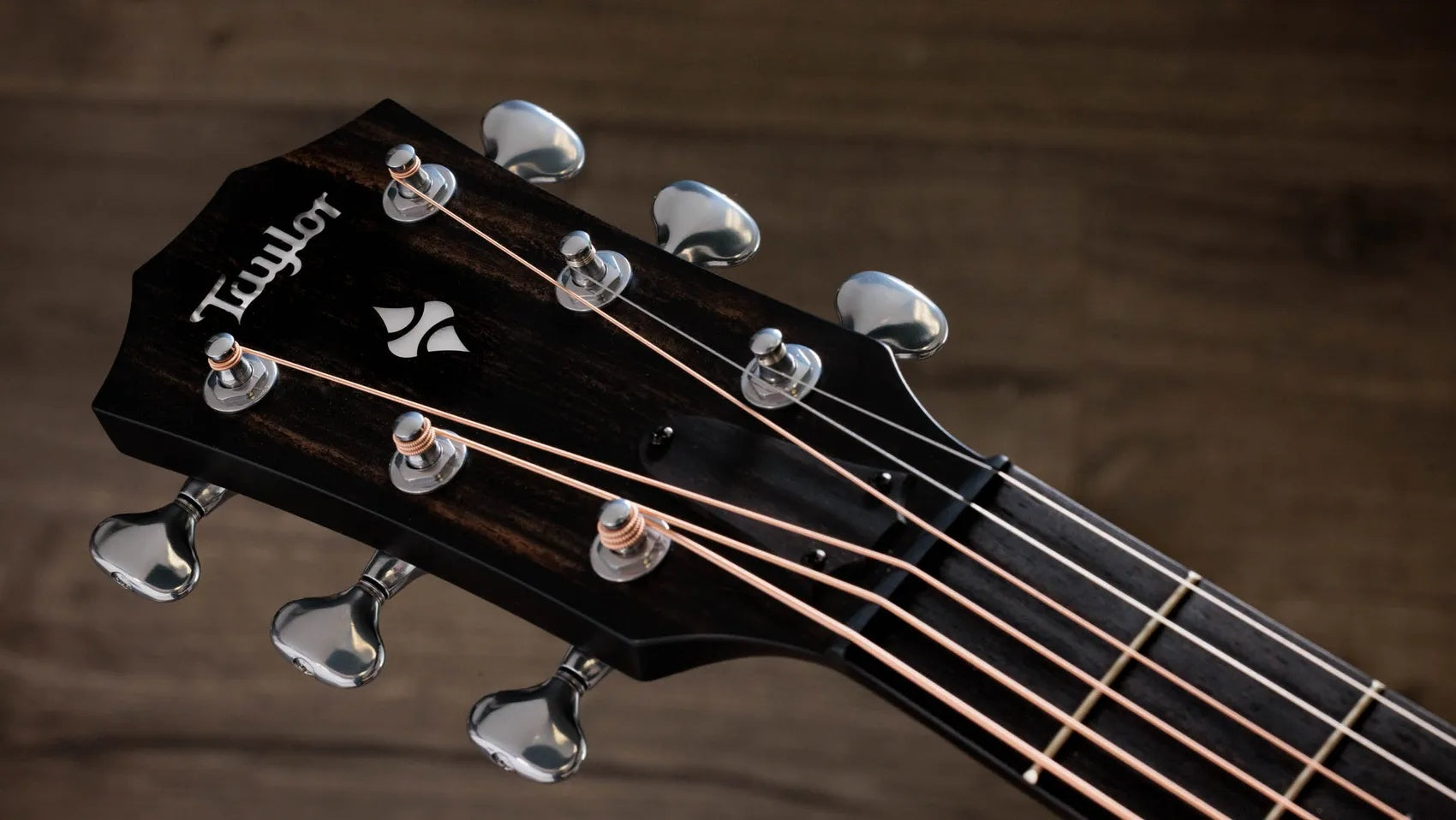 Đàn Guitar Acoustic Taylor Next Generation Builder's Edition 514ce-Mai Nguyên Music