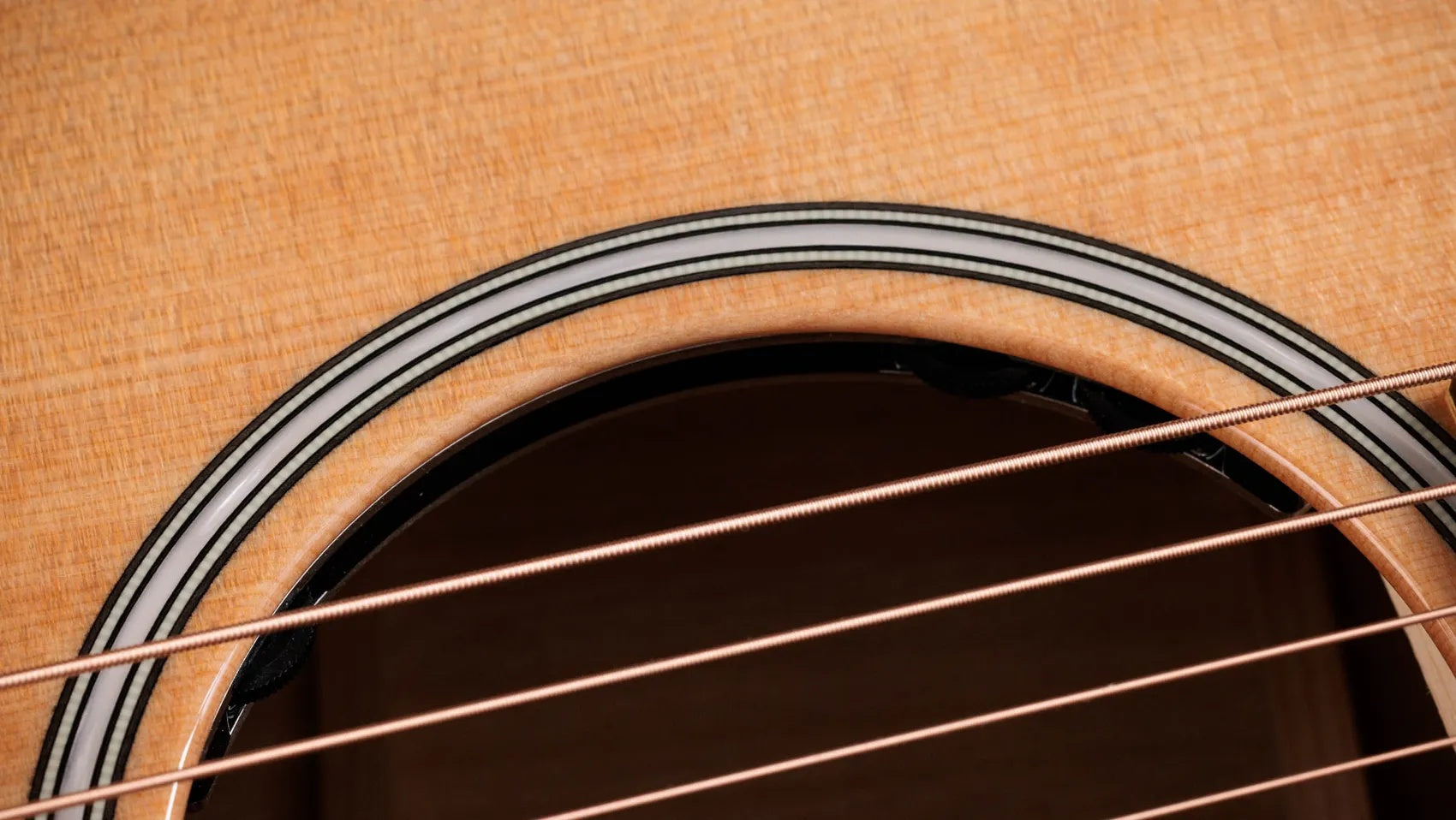 Đàn Guitar Acoustic Taylor Next Generation Builder's Edition 514ce-Mai Nguyên Music