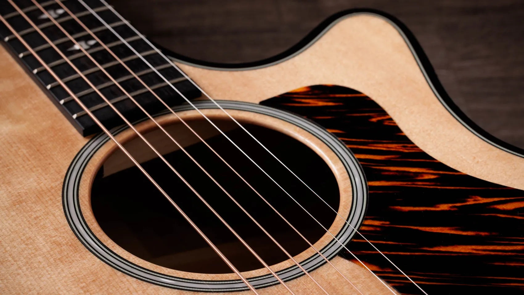 Đàn Guitar Acoustic Taylor Next Generation Builder's Edition 514ce-Mai Nguyên Music