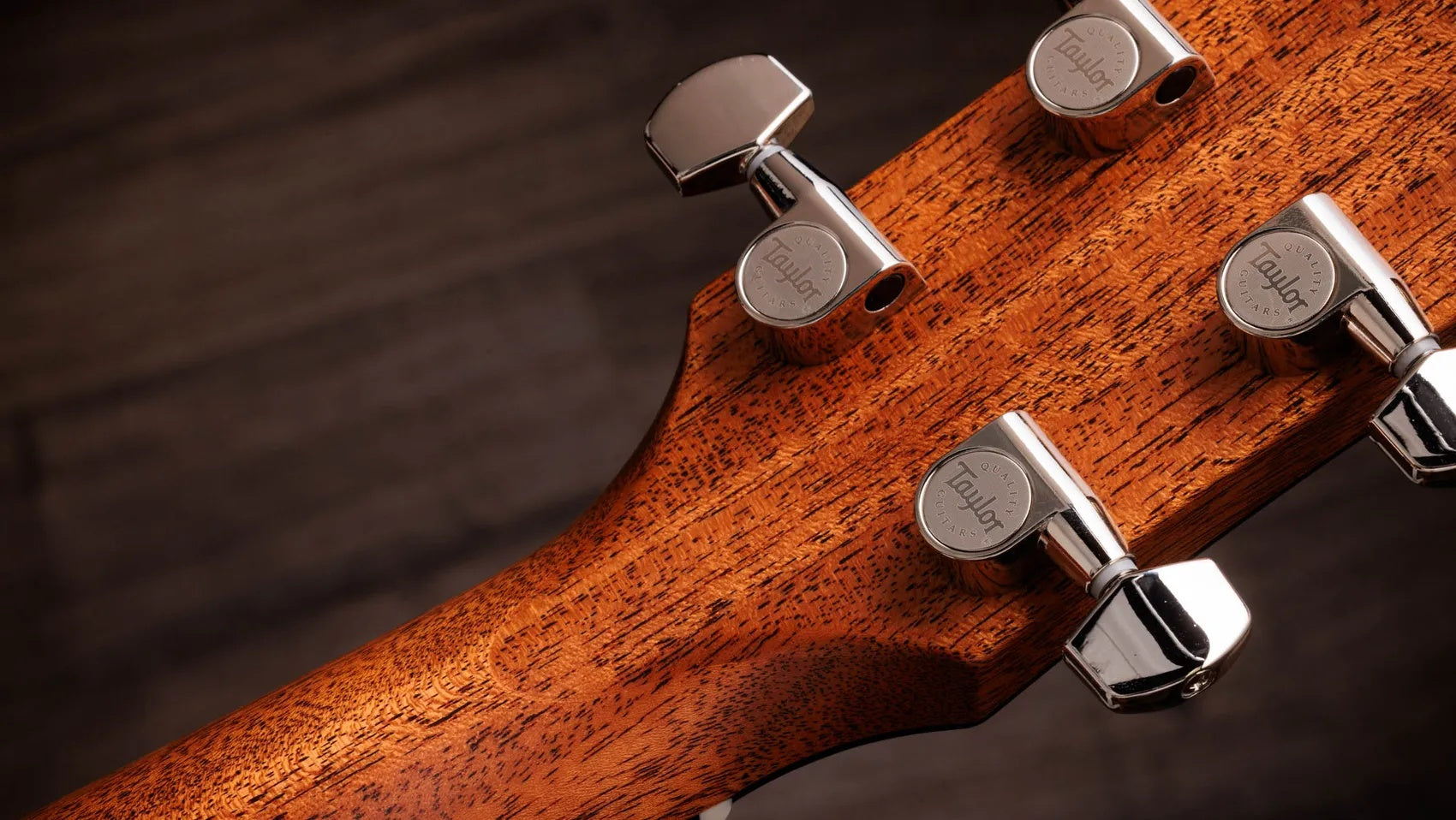 Đàn Guitar Acoustic Taylor Gold Label 514e