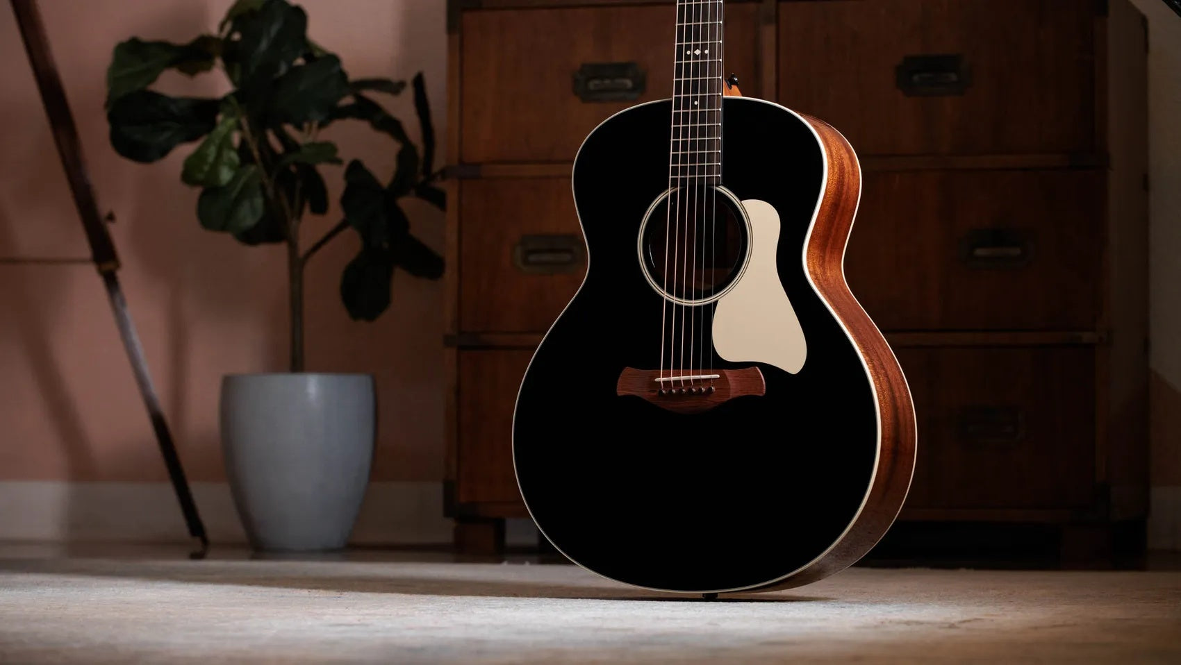 Đàn Guitar Acoustic Taylor Gold Label 514e