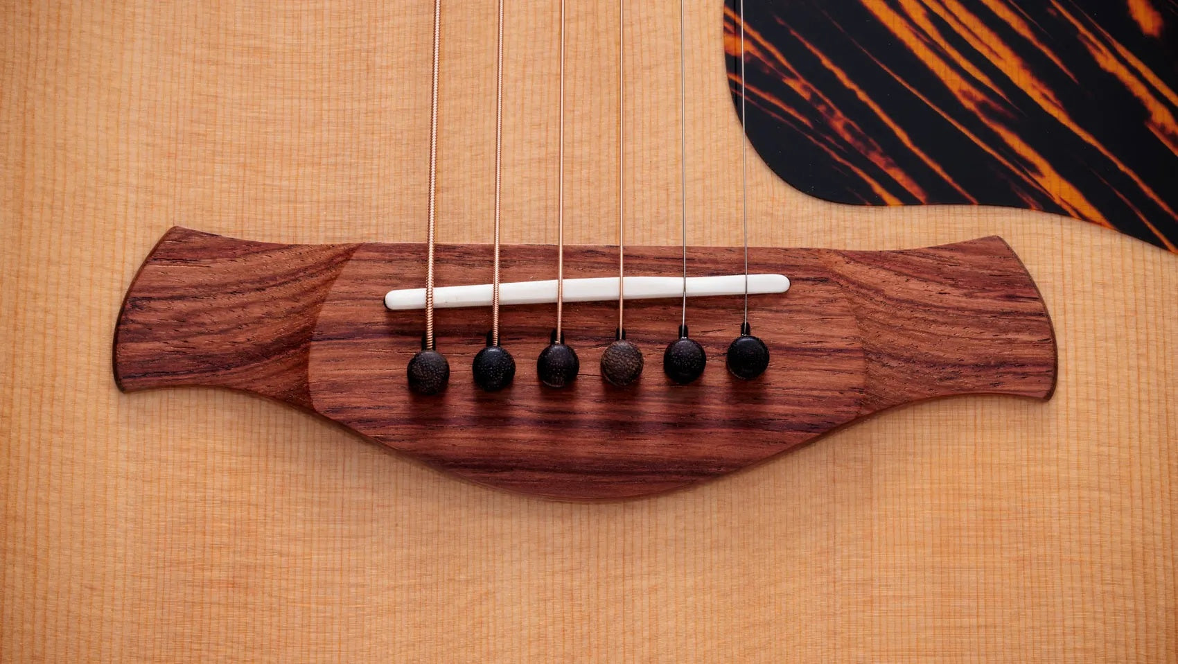 Đàn Guitar Acoustic Taylor Gold Label 514e