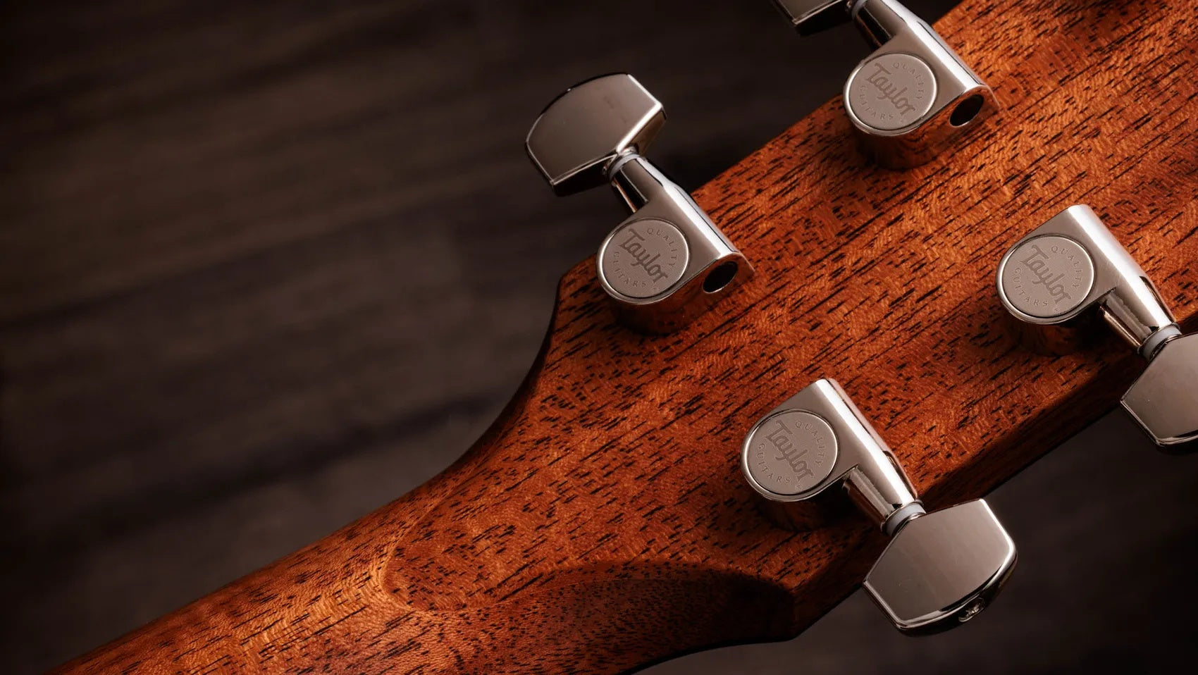 Đàn Guitar Acoustic Taylor Gold Label 514e