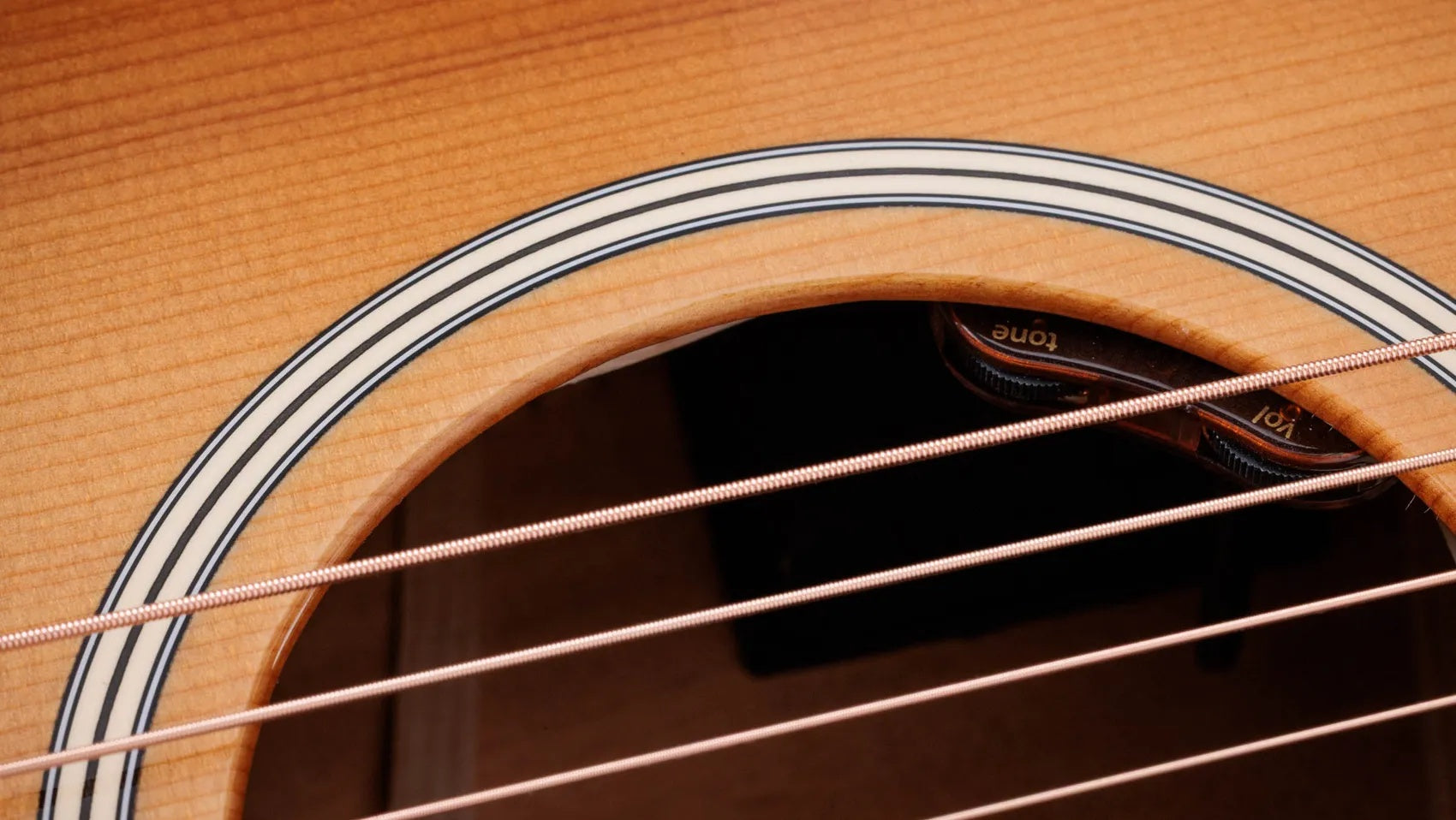 Đàn Guitar Acoustic Taylor Gold Label 514e