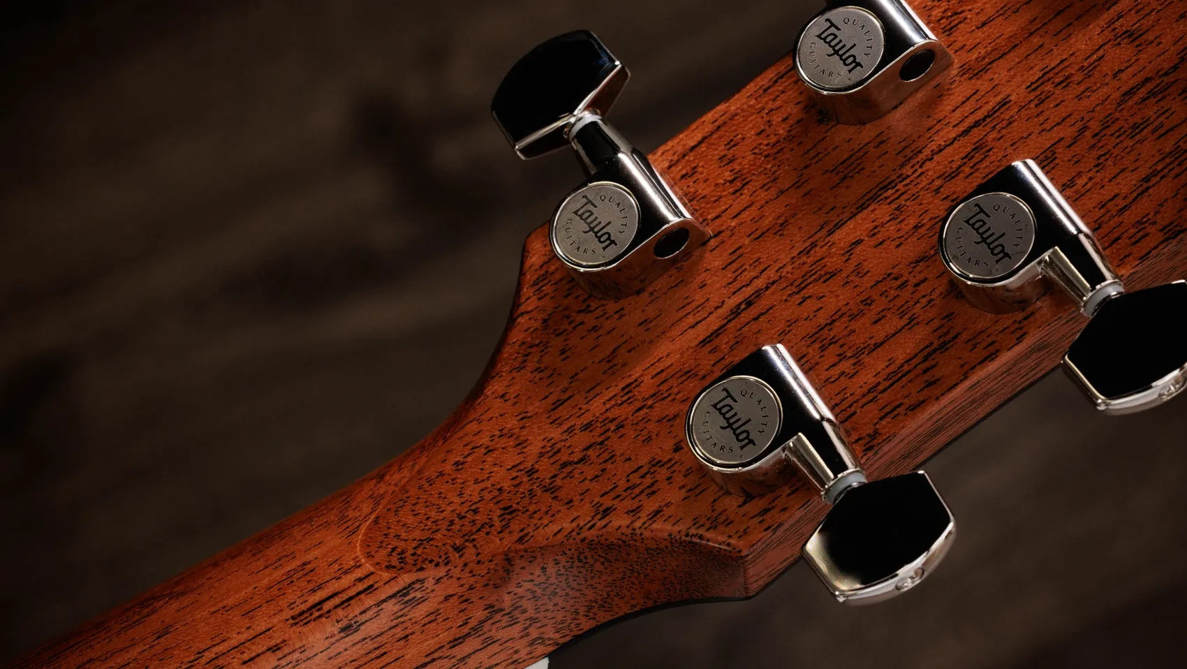 Đàn Guitar Acoustic Taylor Gold Label 517e