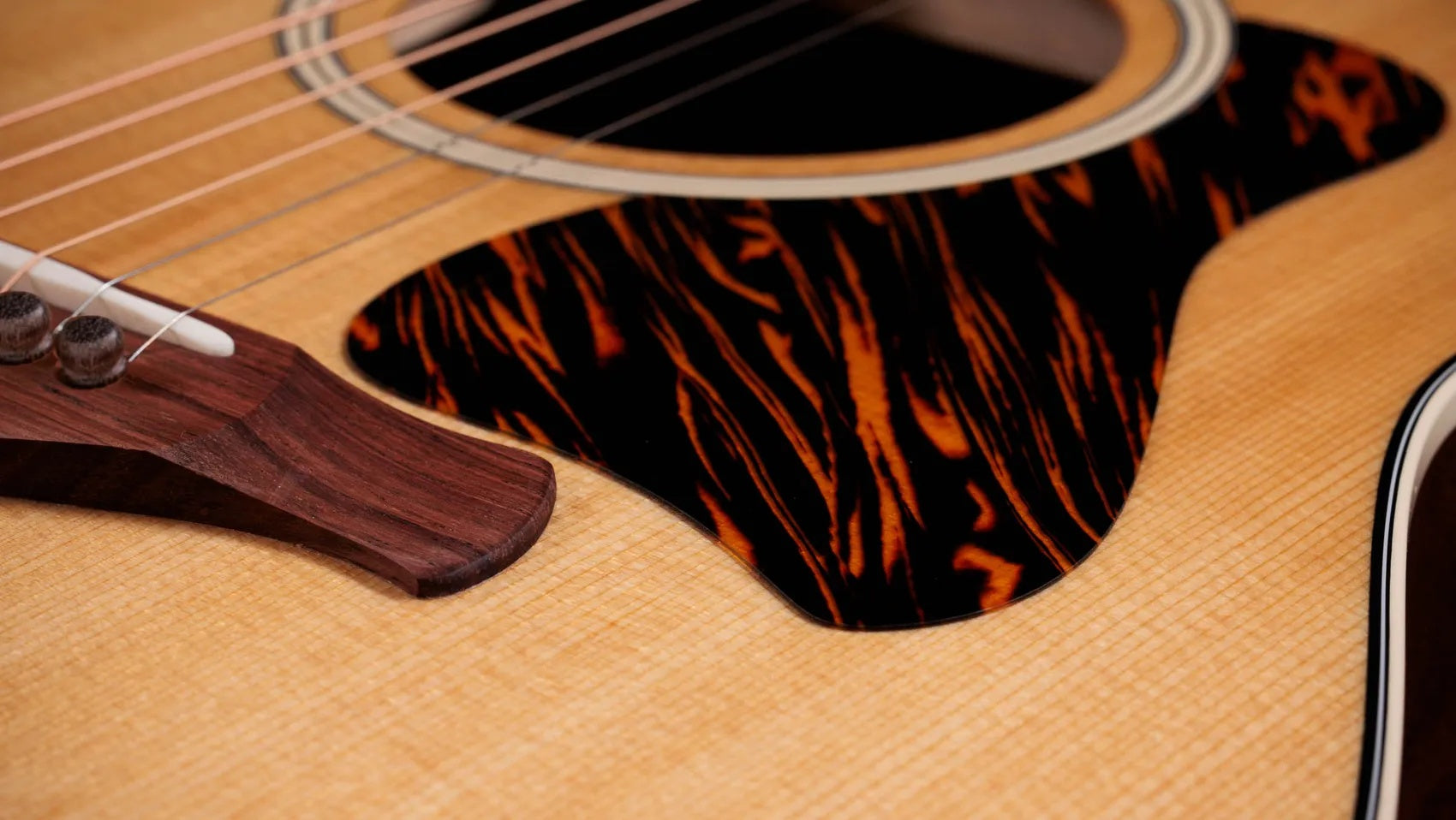 Đàn Guitar Acoustic Taylor Gold Label 517e