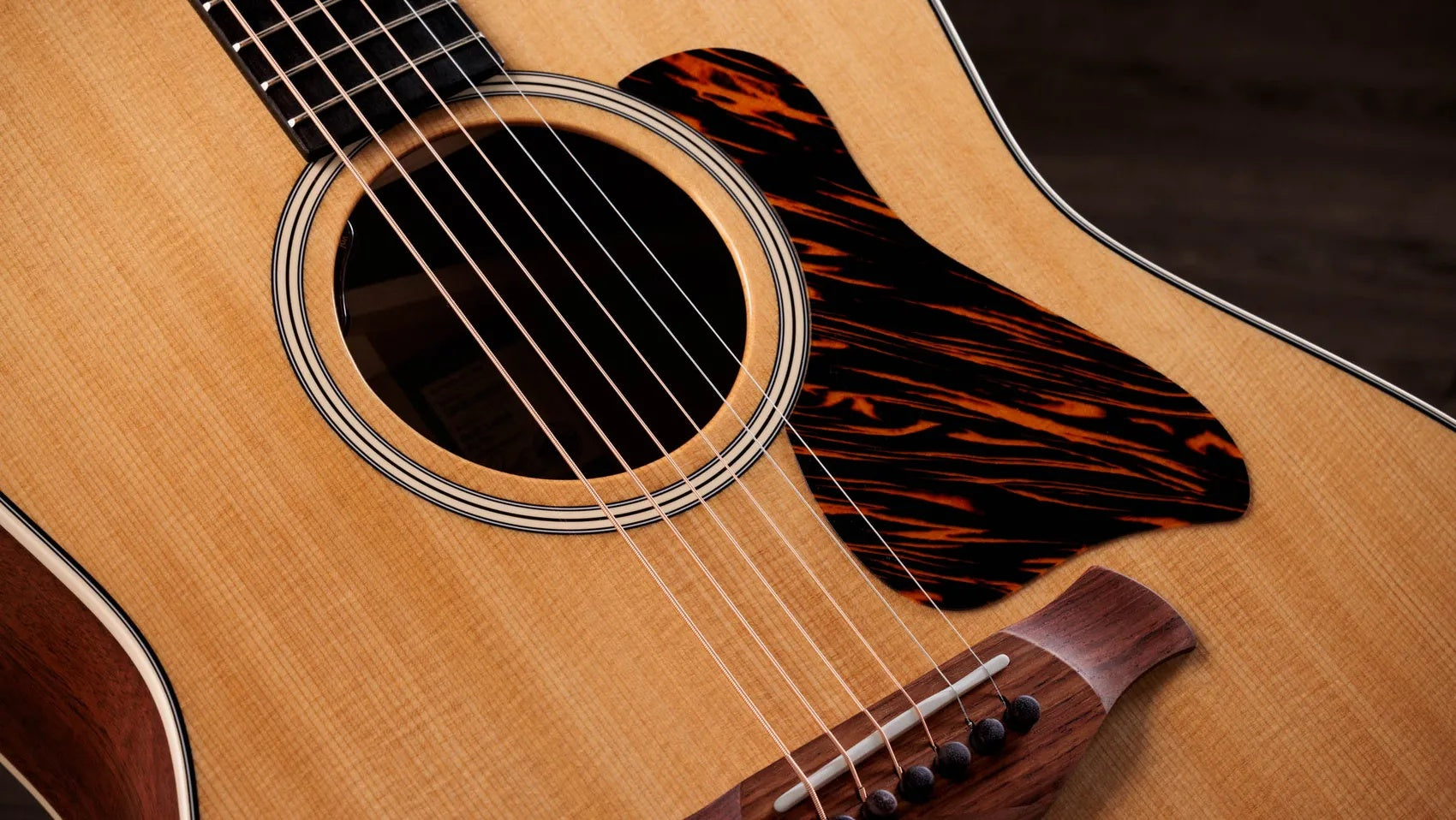 Đàn Guitar Acoustic Taylor Gold Label 517e