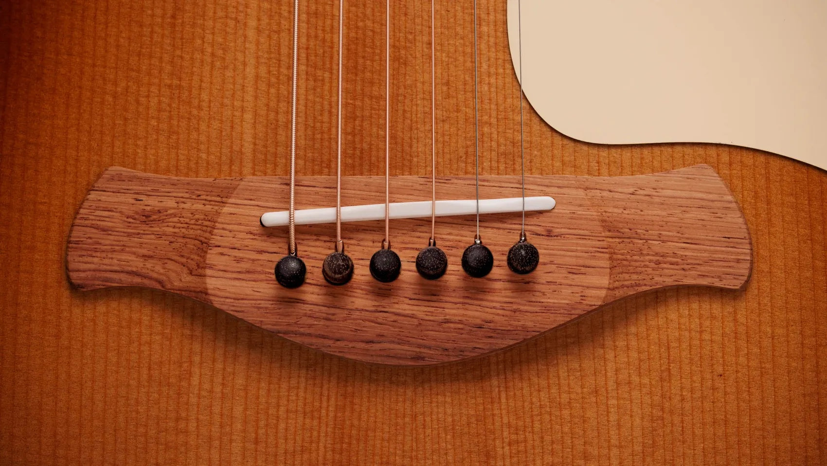 Đàn Guitar Acoustic Taylor Gold Label 517e