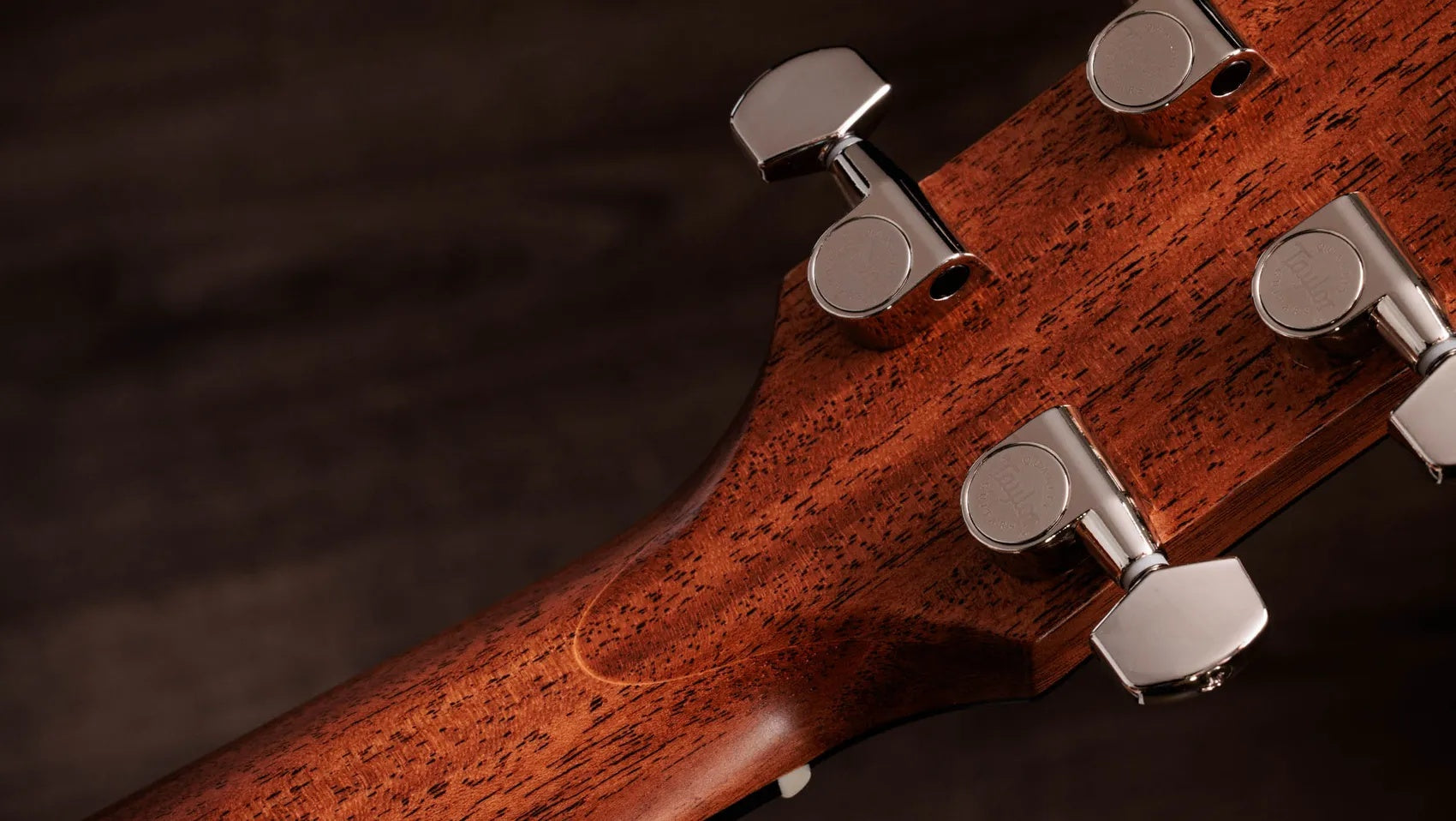 Đàn Guitar Acoustic Taylor Gold Label 517e