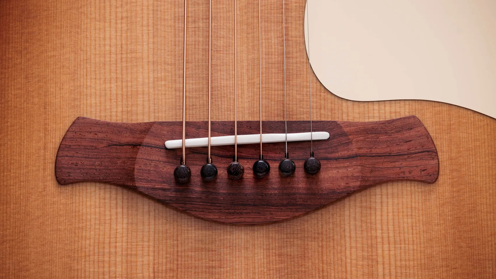 Đàn Guitar Acoustic Taylor Gold Label 714e