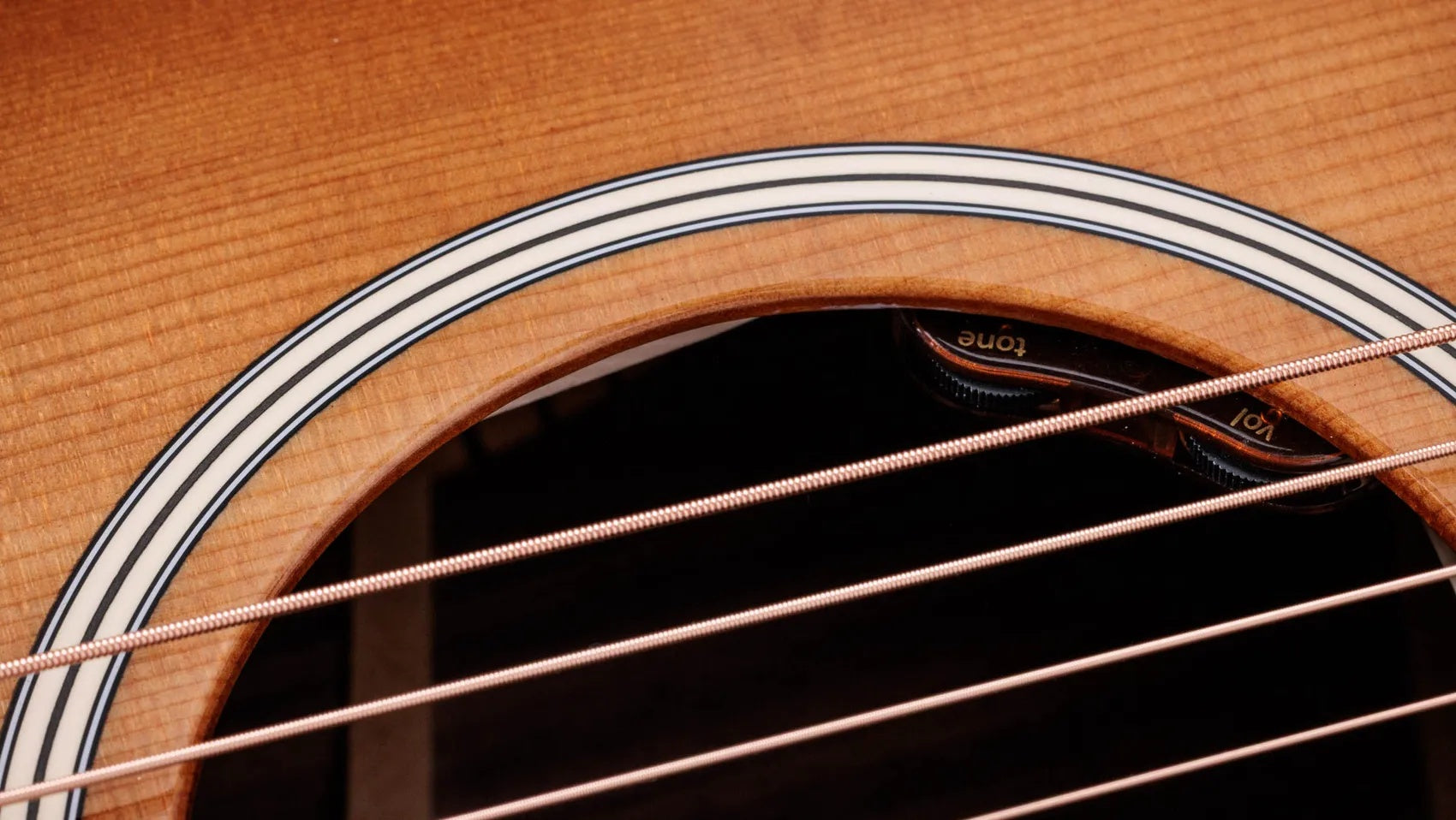 Đàn Guitar Acoustic Taylor Gold Label 714e