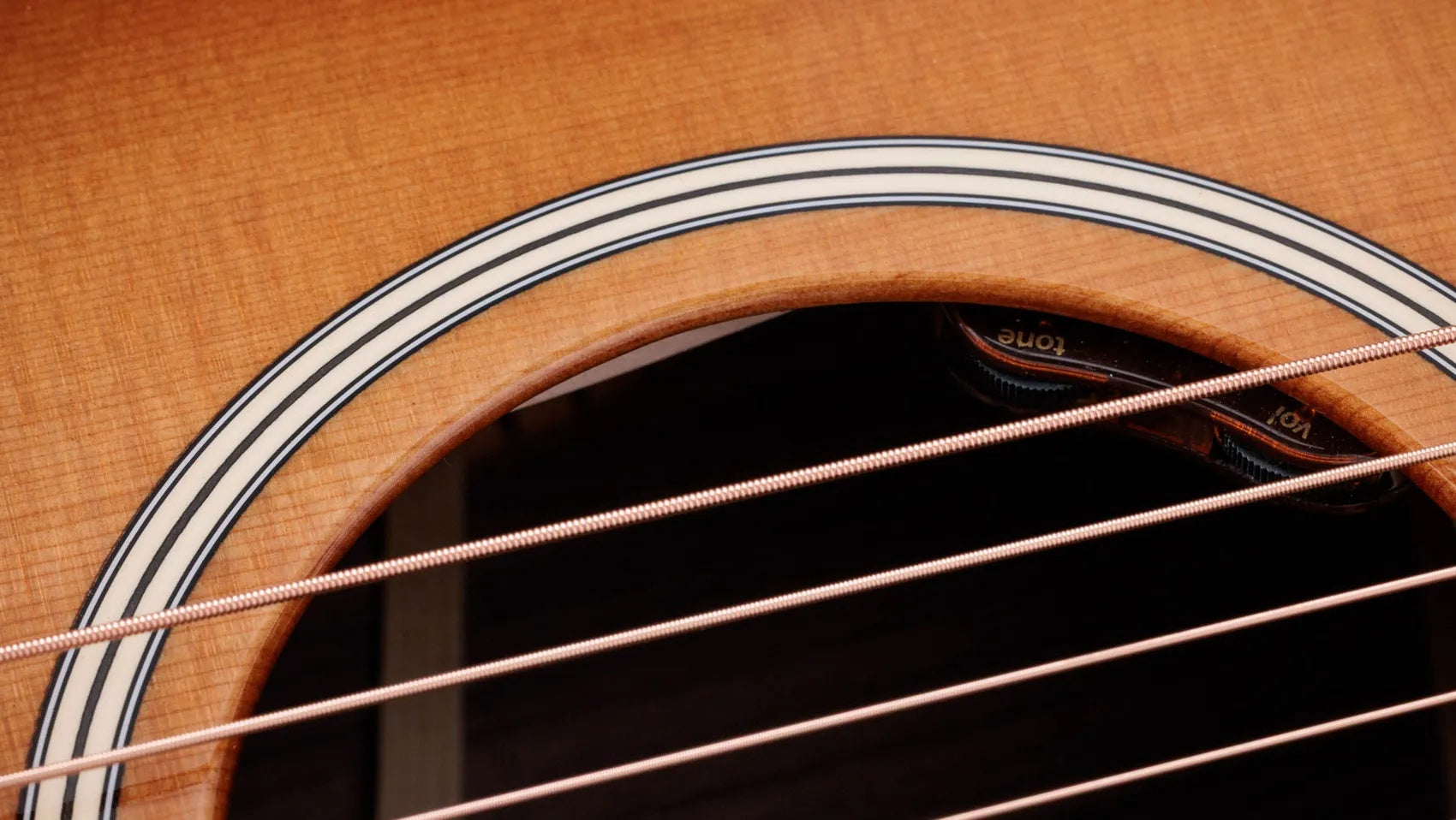 Đàn Guitar Acoustic Taylor Gold Label 714e