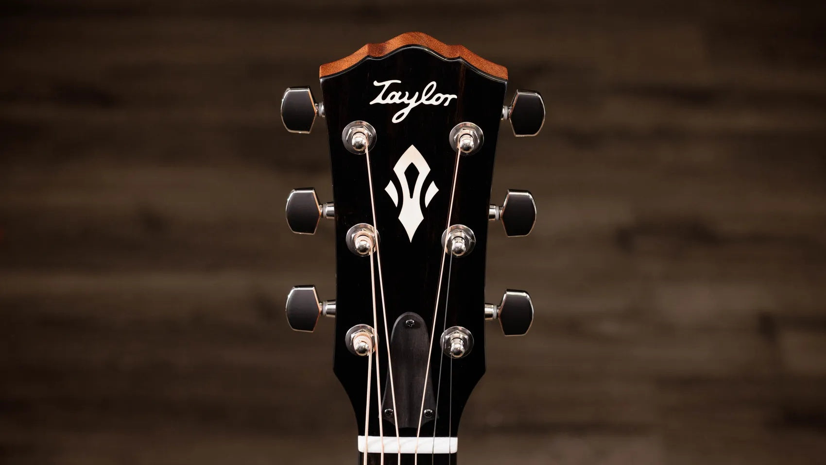 Đàn Guitar Acoustic Taylor Gold Label 717e