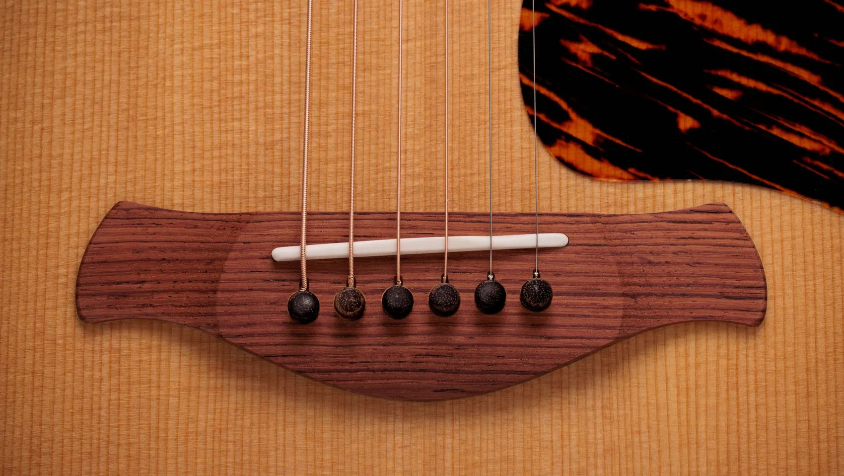 Đàn Guitar Acoustic Taylor Gold Label 717e