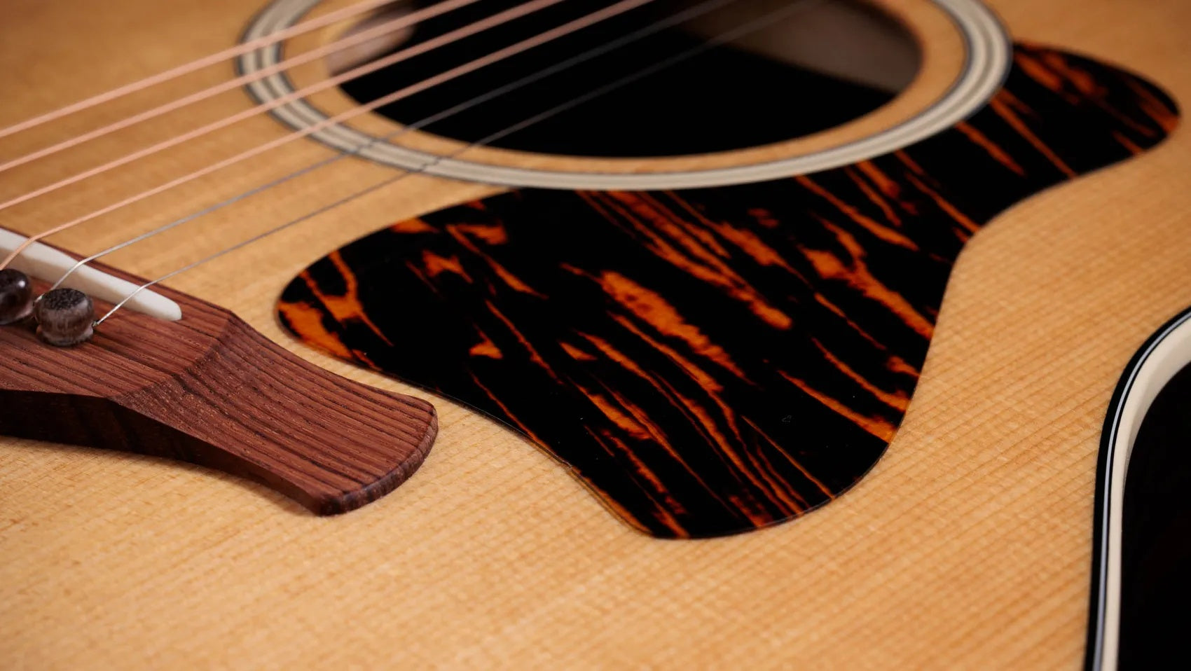 Đàn Guitar Acoustic Taylor Gold Label 717e