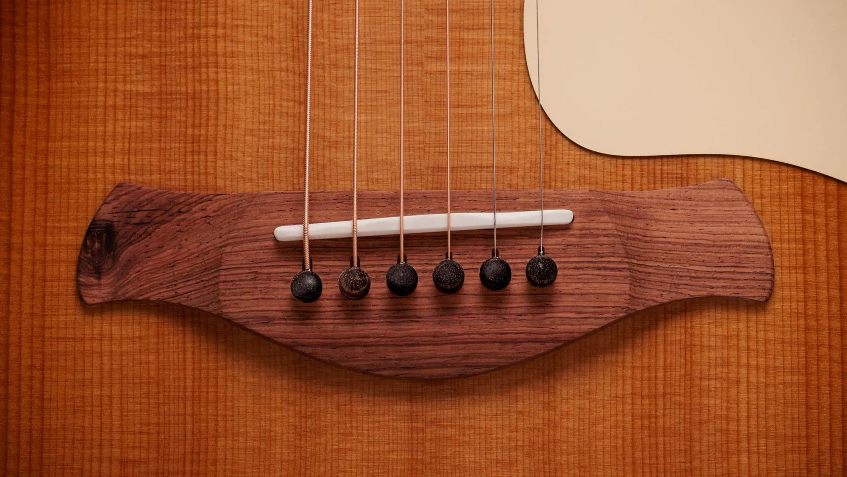 Đàn Guitar Acoustic Taylor Gold Label 717e