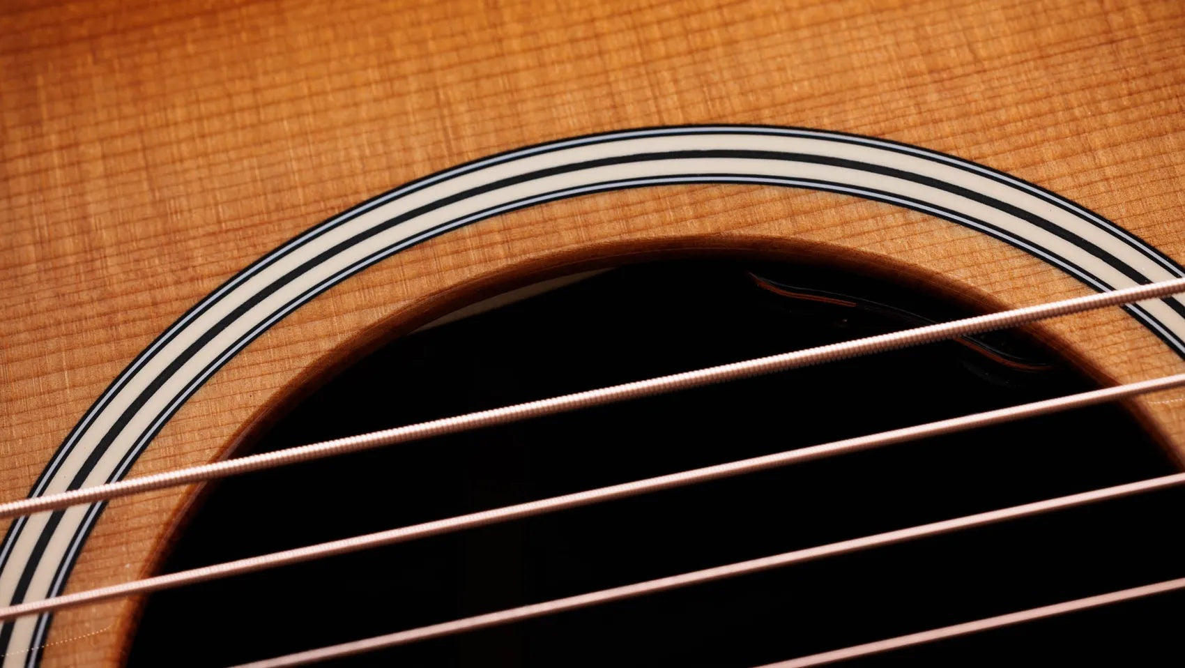 Đàn Guitar Acoustic Taylor Gold Label 717e