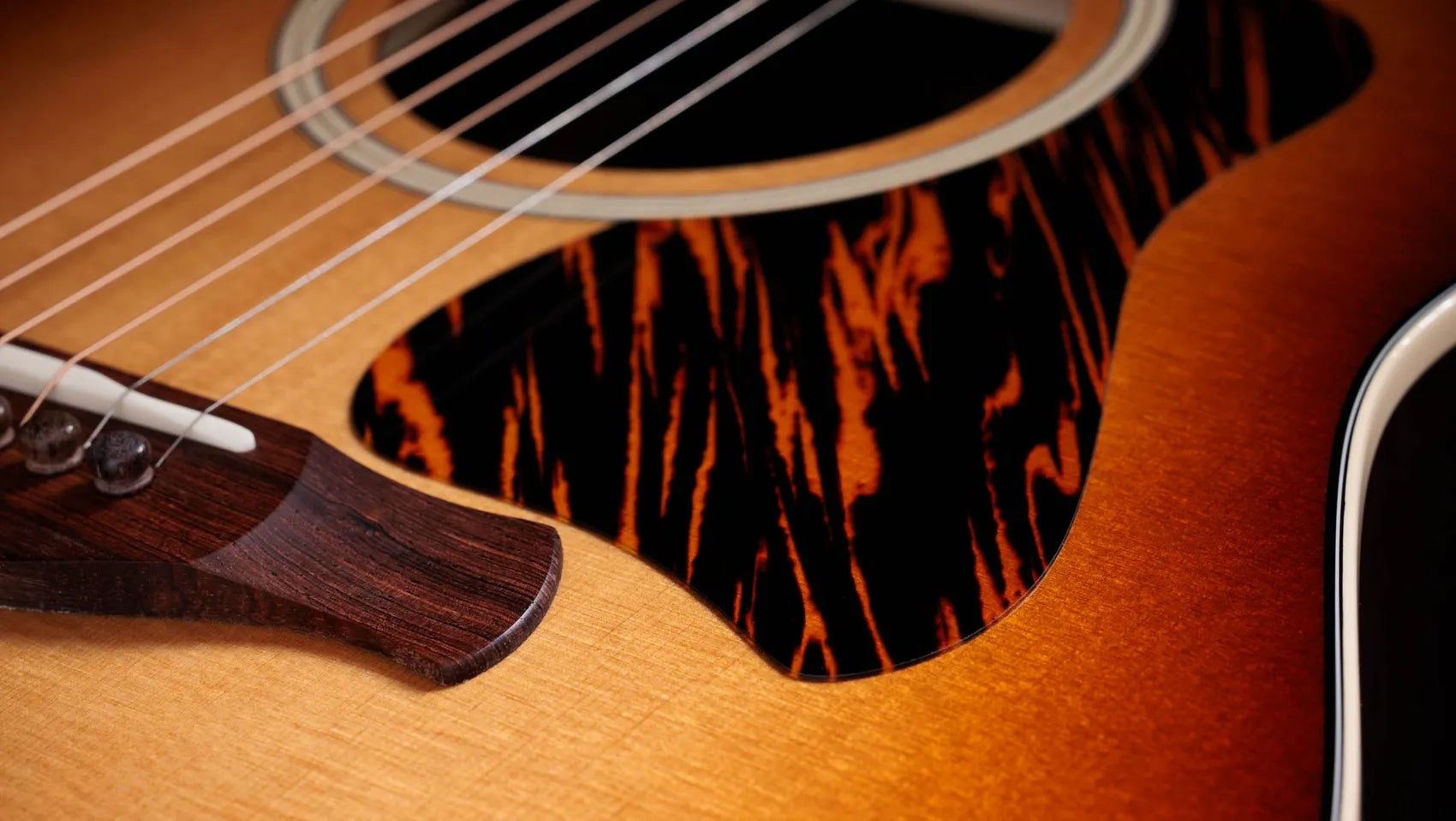 Đàn Guitar Acoustic Taylor Gold Label 717e