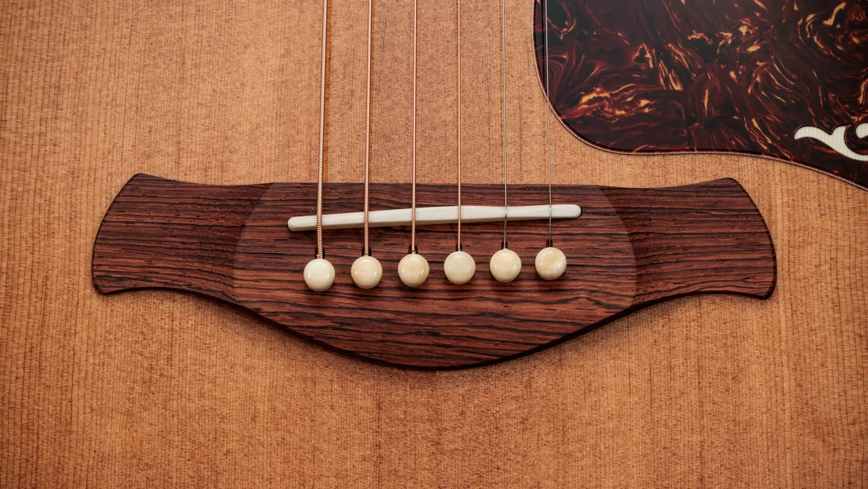 Đàn Guitar Acoustic Taylor Gold Label 810e - Natural