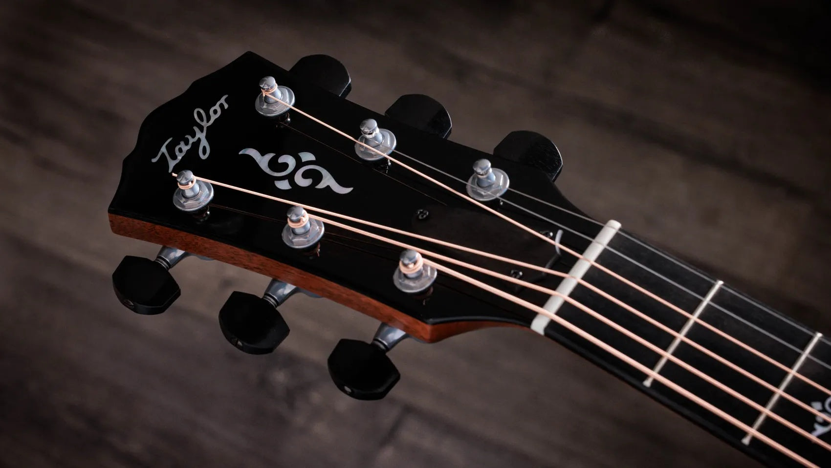Đàn Guitar Acoustic Taylor Gold Label 814e