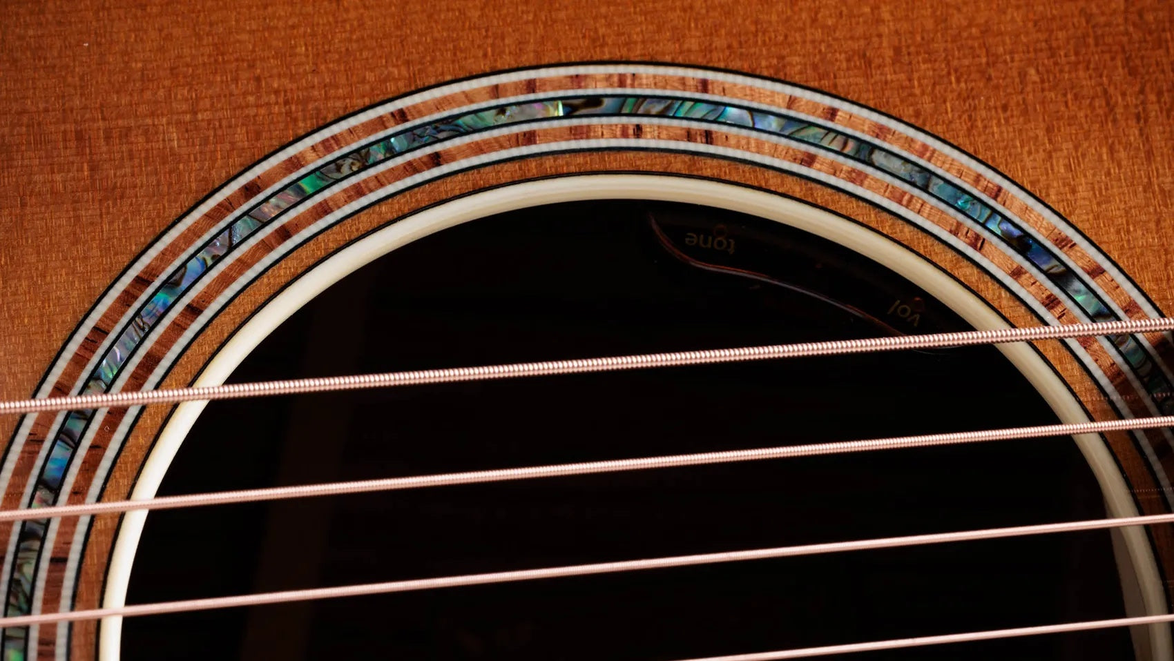 Đàn Guitar Acoustic Taylor Gold Label 814e