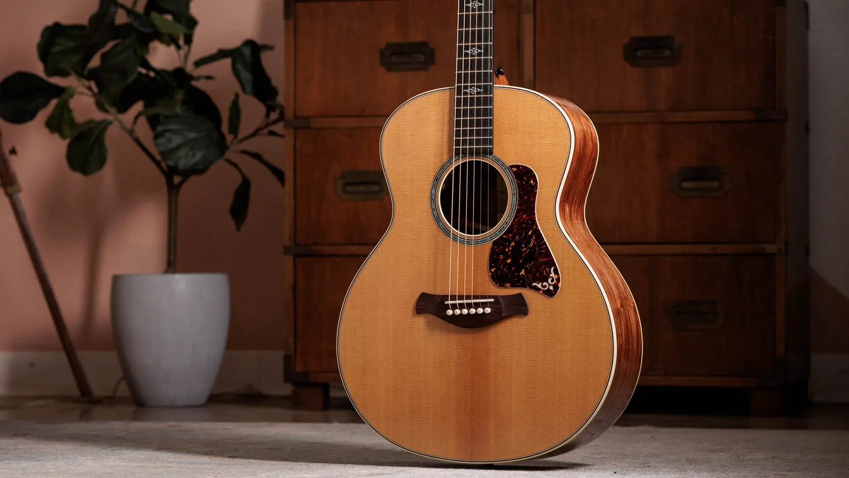 Đàn Guitar Acoustic Taylor Gold Label 814e