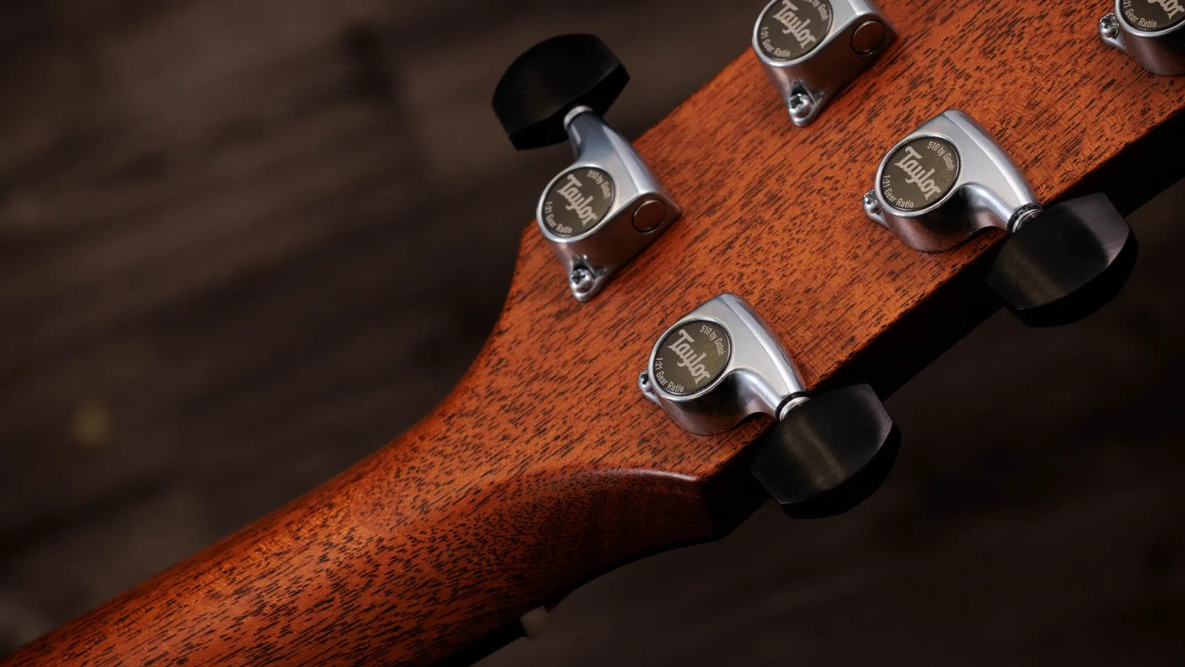 Đàn Guitar Acoustic Taylor Gold Label 817e