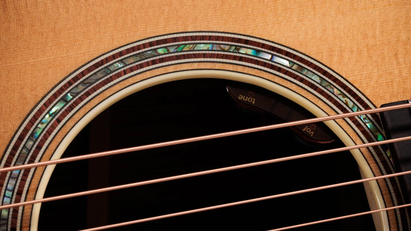 Đàn Guitar Acoustic Taylor Gold Label 817e